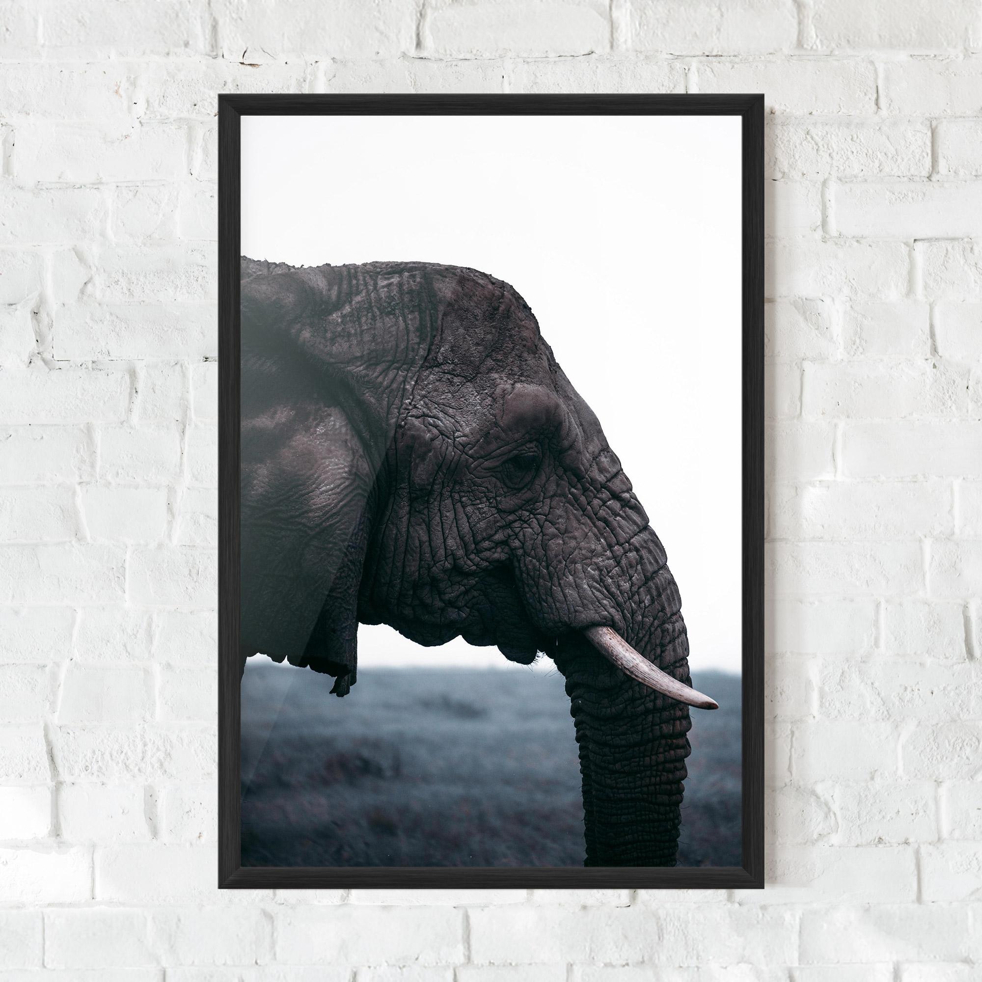 Gerahmte Poster Close Grey Eelephant mockup 0