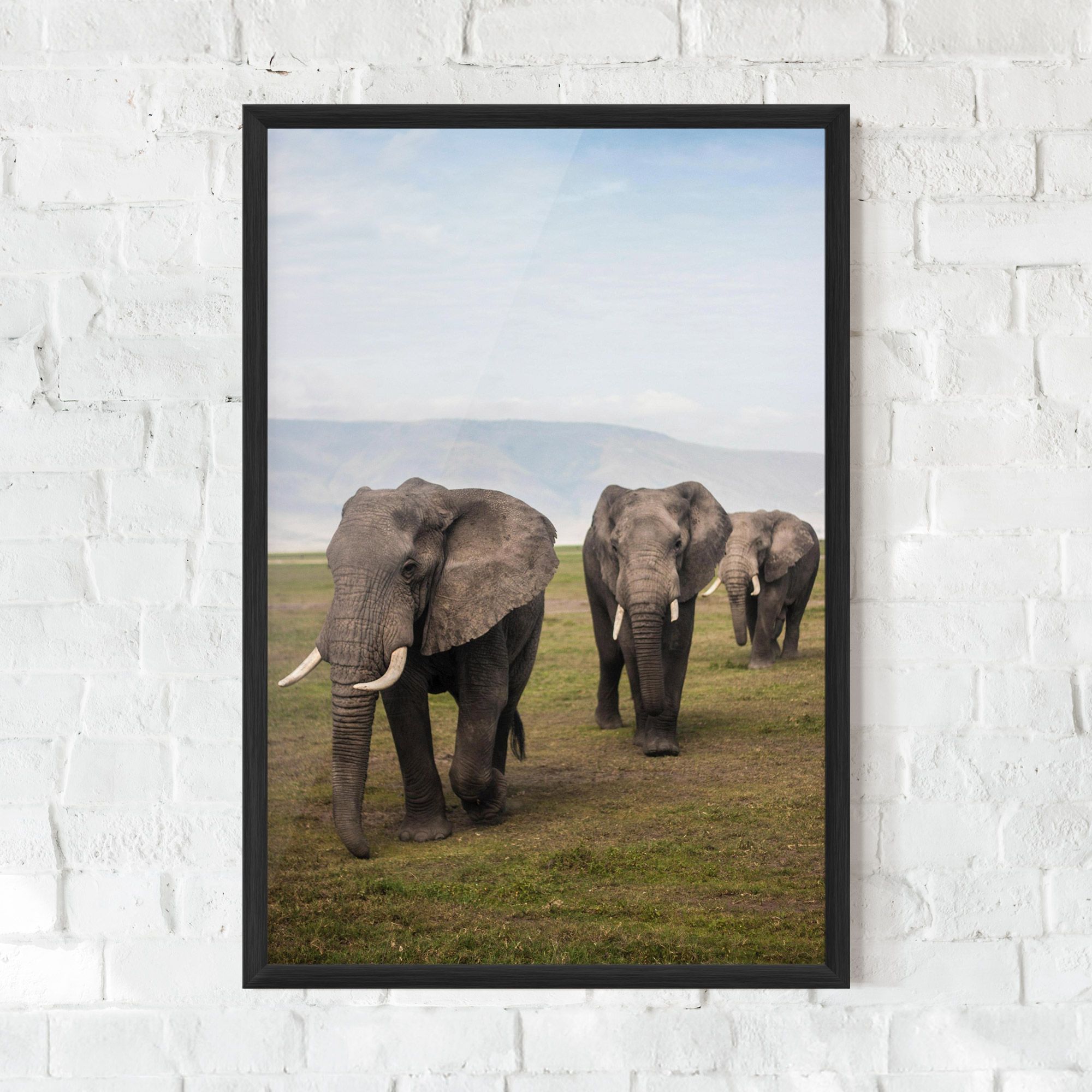 Elephant Landscape mockup 0