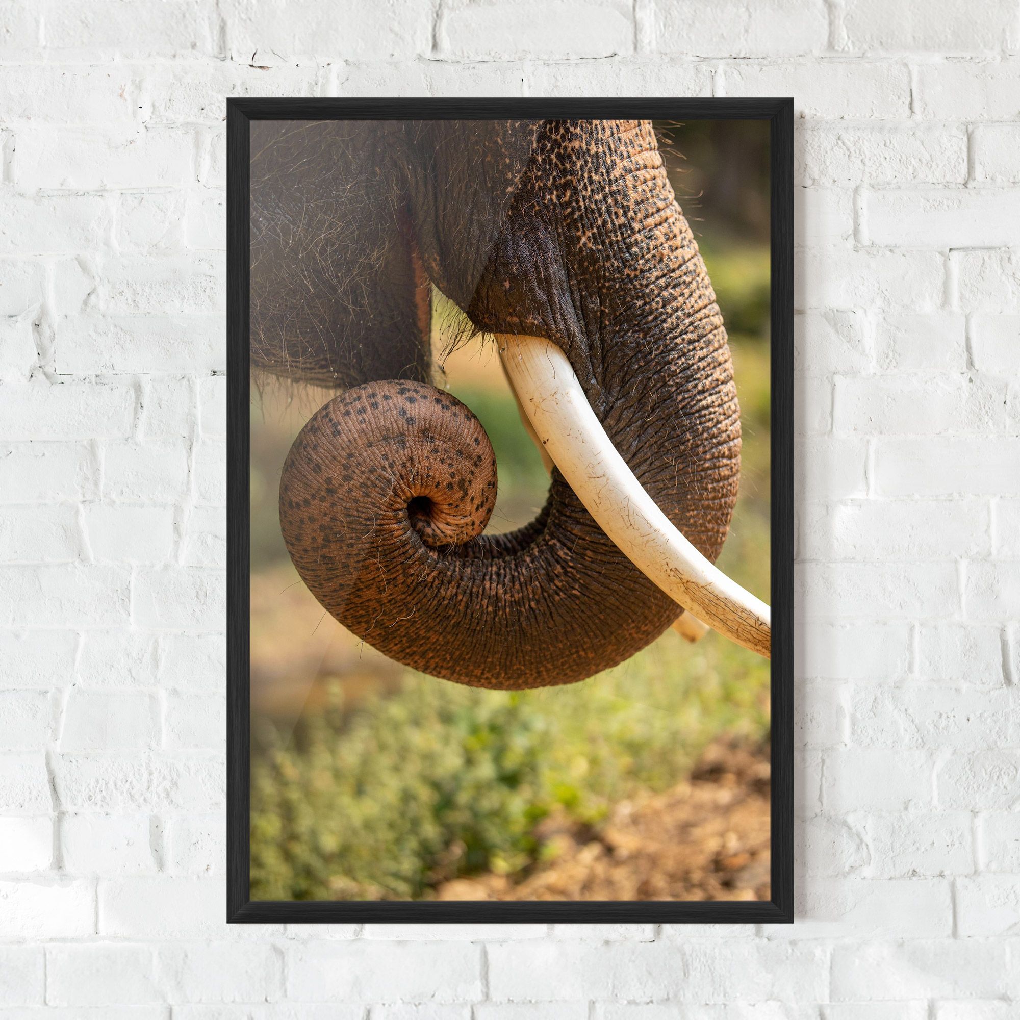 Elephant Mouth Close Up mockup 0