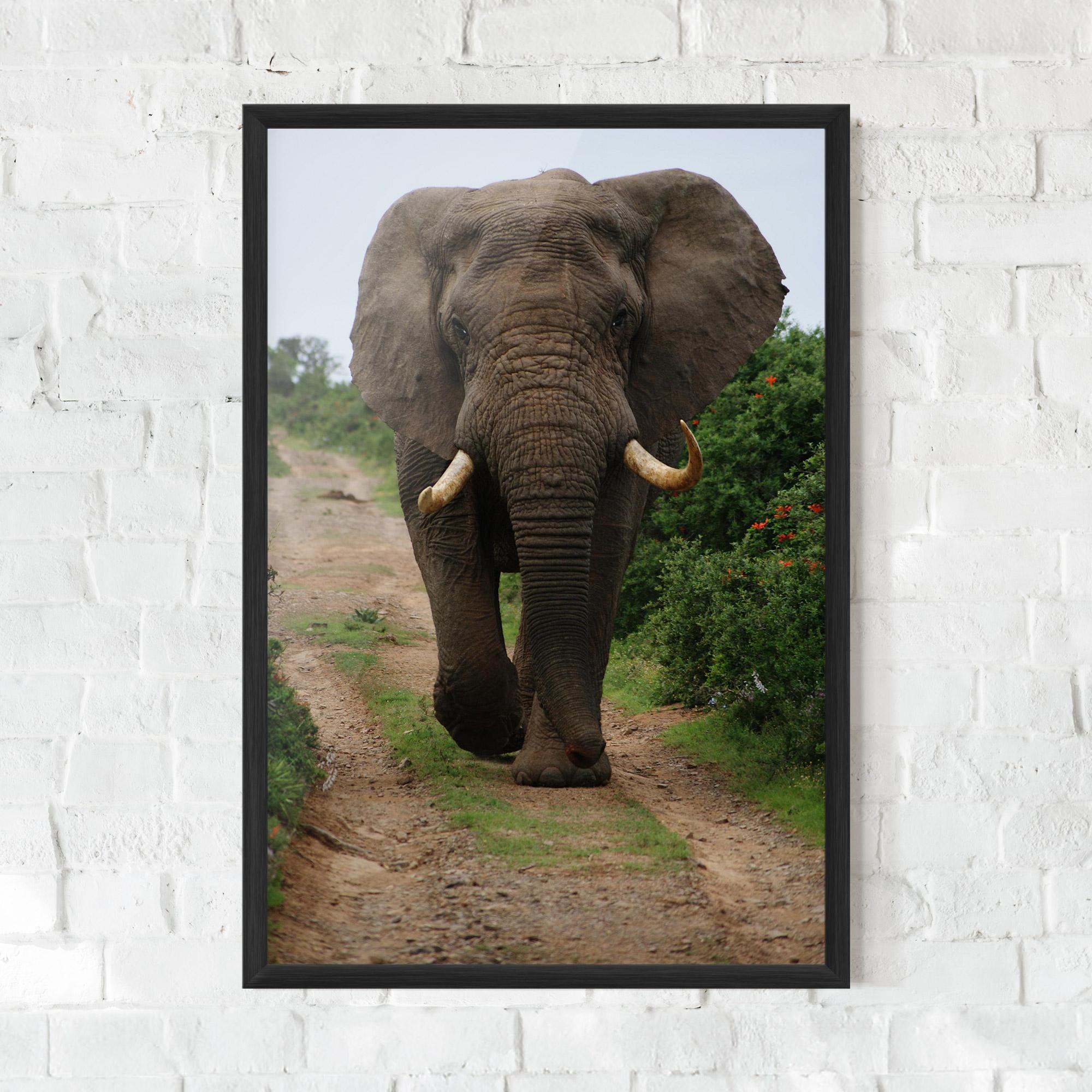 Gerahmte Poster Elephant Safari mockup 0