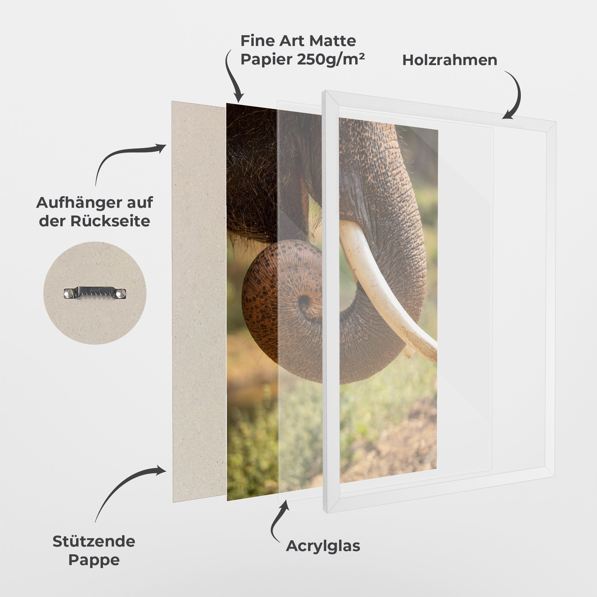 Elephant Mouth Close Up mockup 1