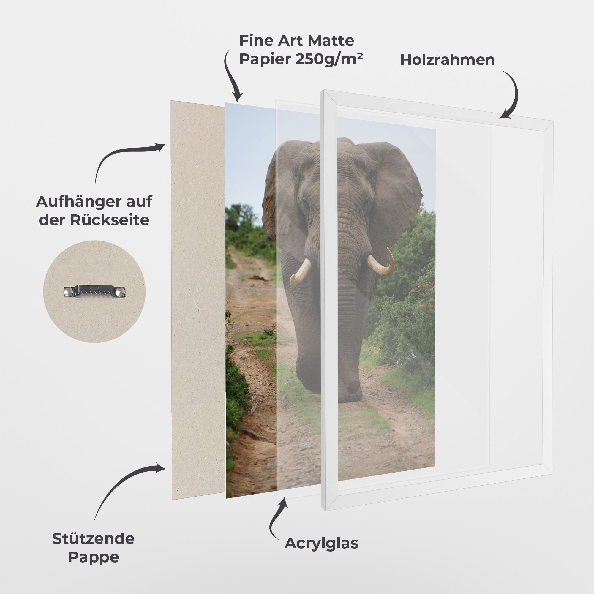 Elephant Safari mockup 1