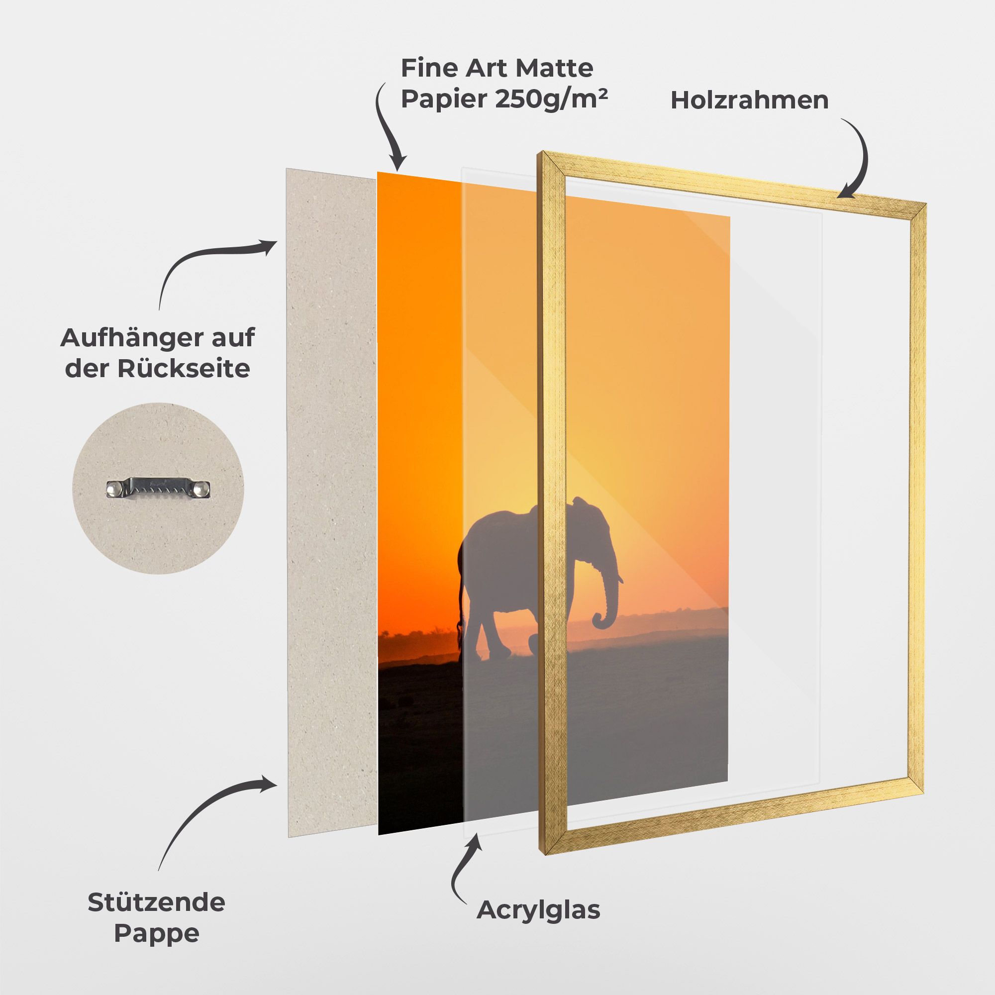 Beautiful Elephant mockup 1