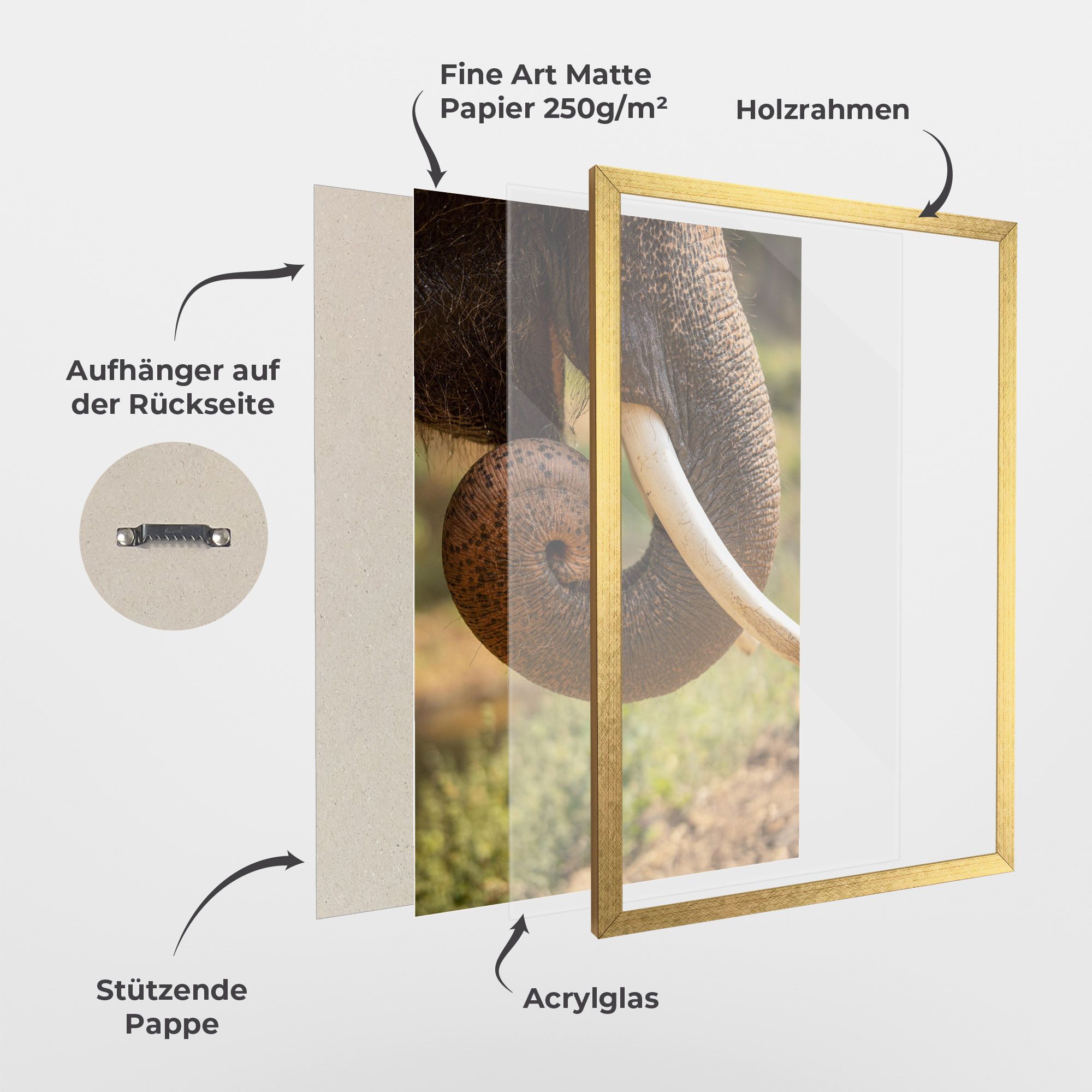 Elephant Mouth Close Up mockup 1