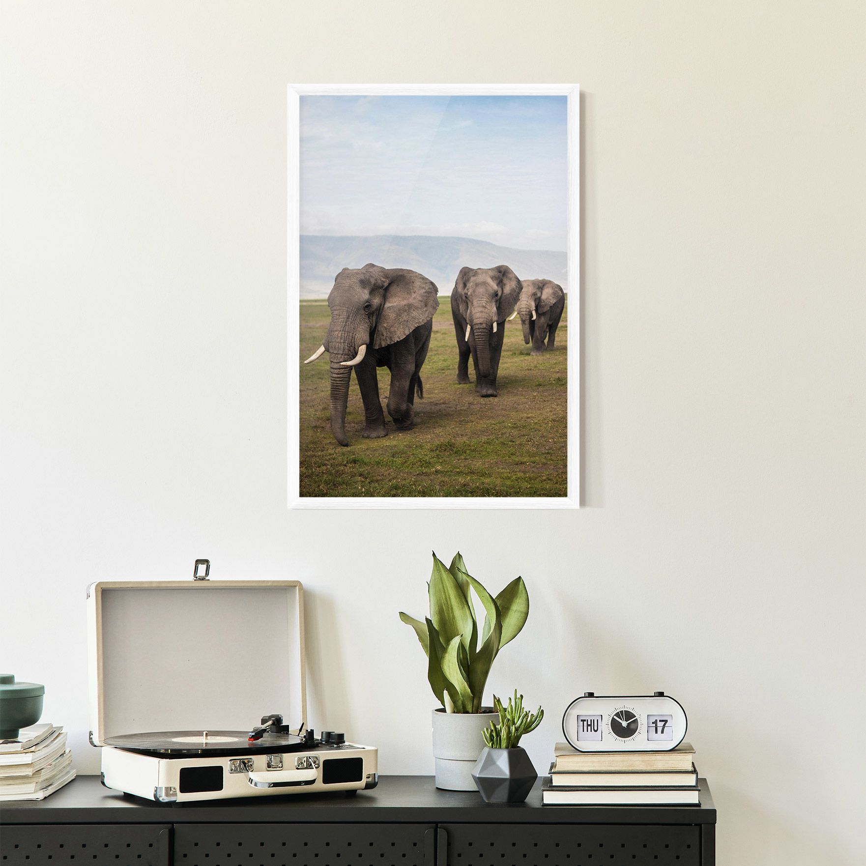 Elephant Landscape mockup 2