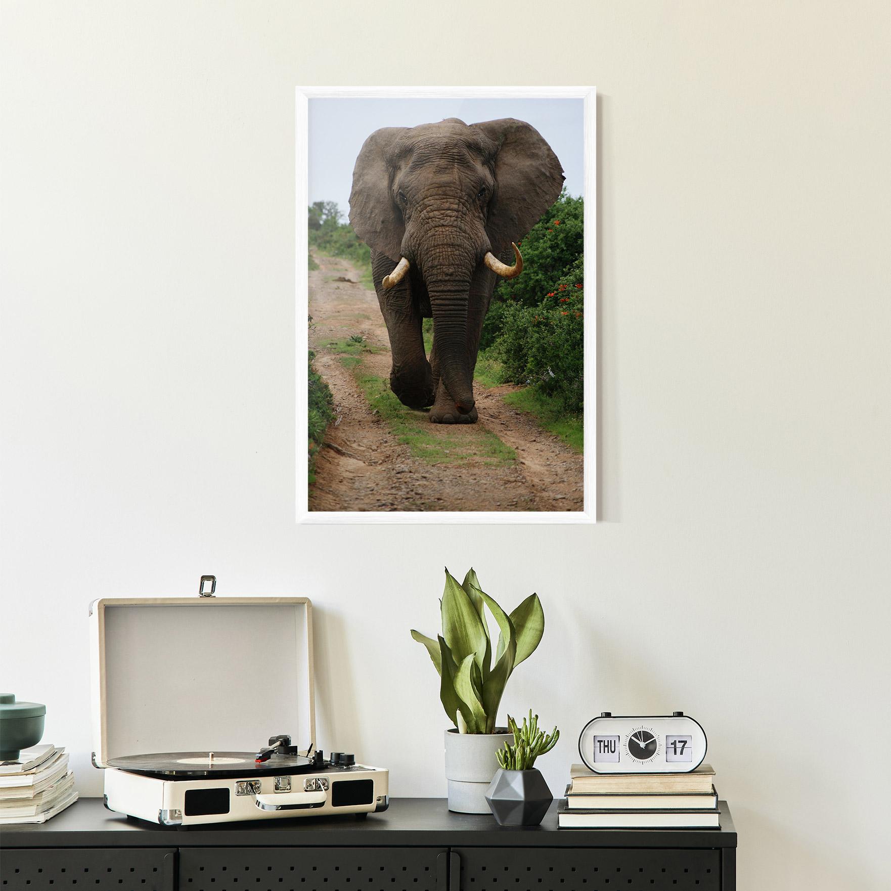 Gerahmte Poster Elephant Safari mockup 2