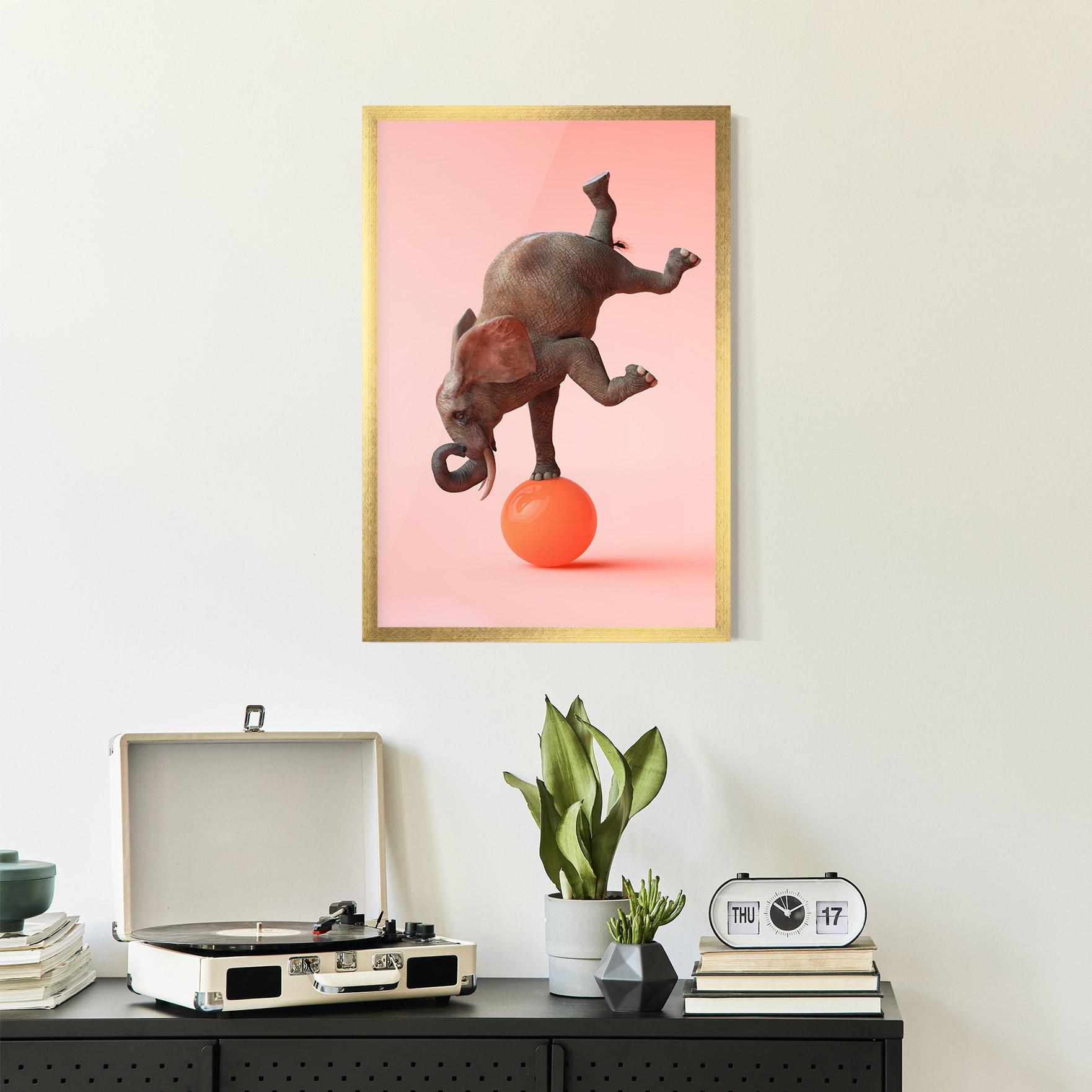 Gerahmte Poster Ball Elephant mockup 2
