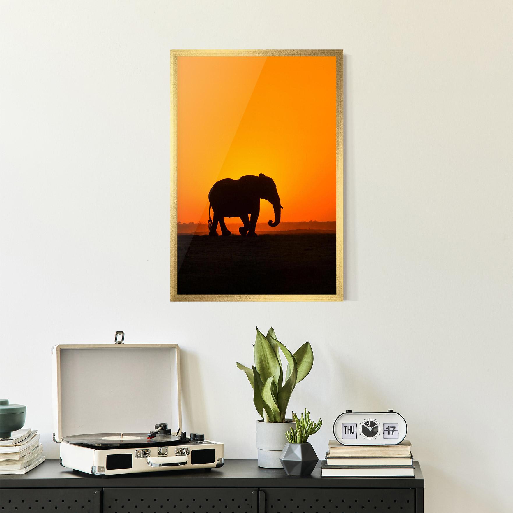 Gerahmte Poster Beautiful Elephant mockup 2