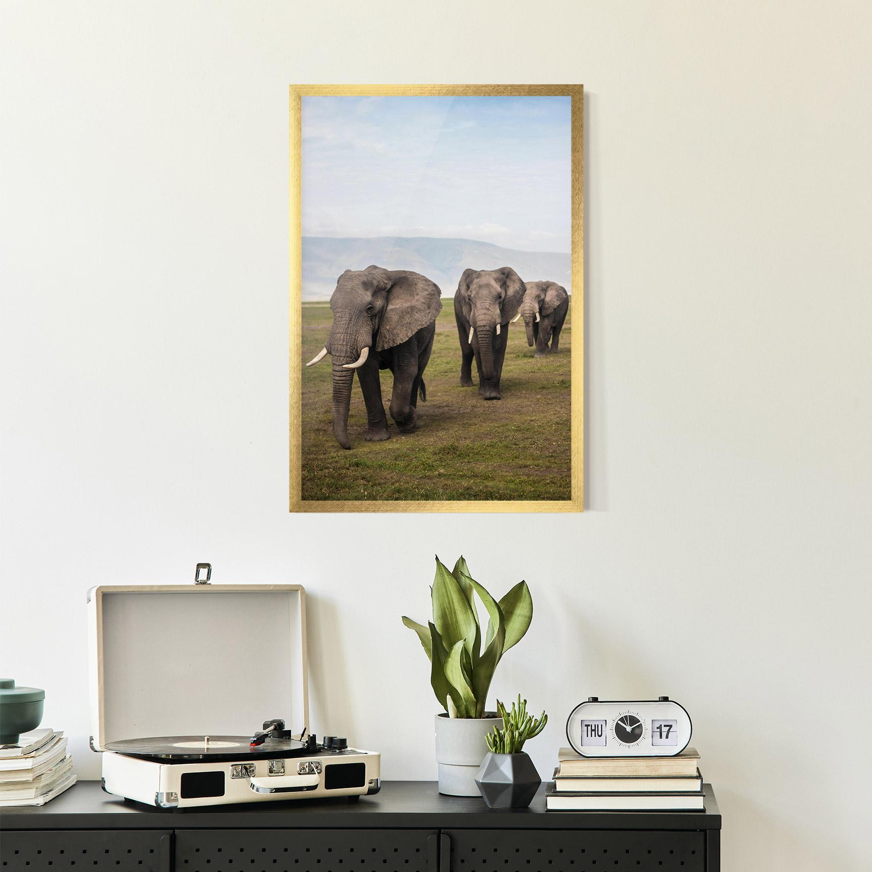 Gerahmte Poster Elephant Landscape mockup 2