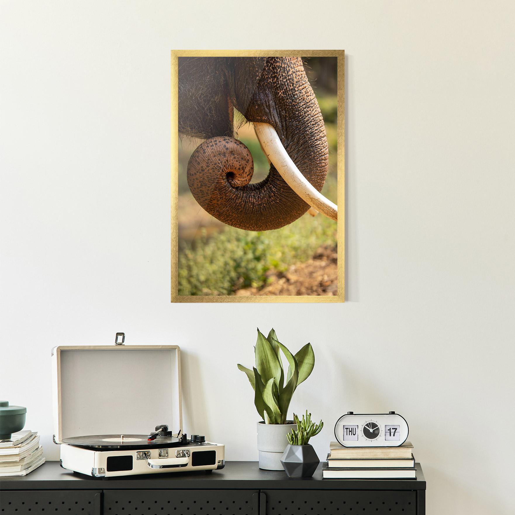 Gerahmte Poster Elephant Mouth Close Up mockup 2