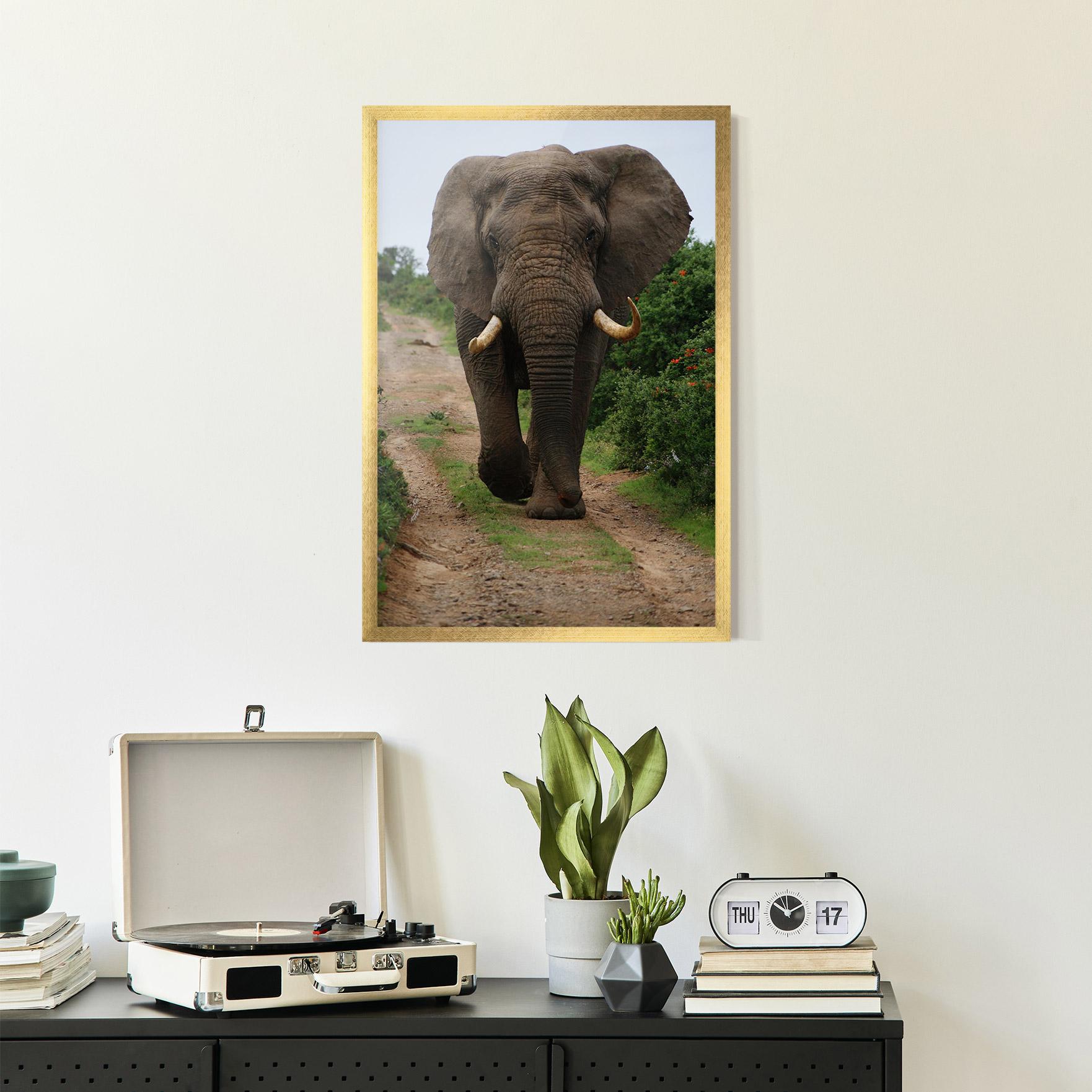 Gerahmte Poster Elephant Safari mockup 2