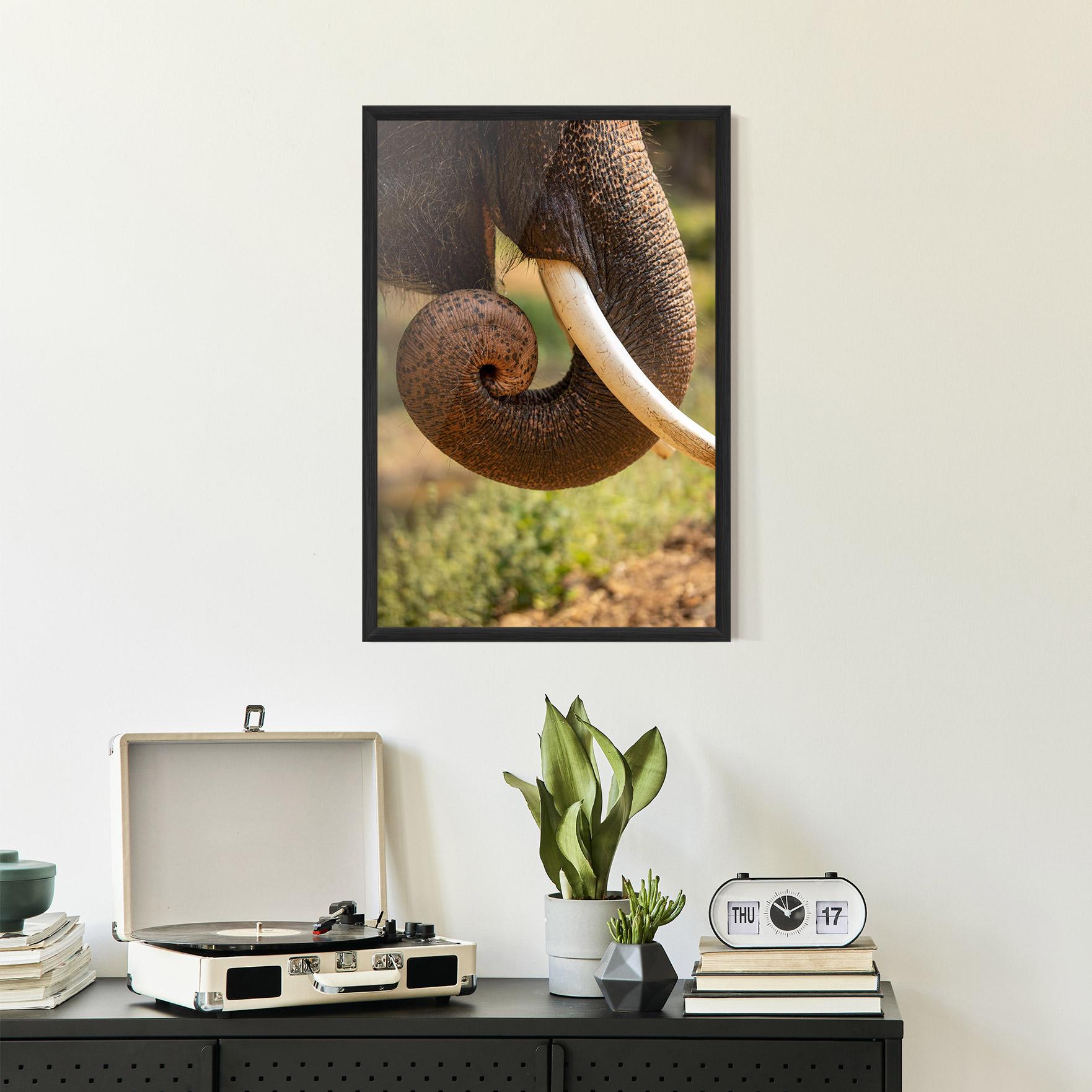 Gerahmte Poster Elephant Mouth Close Up mockup 2