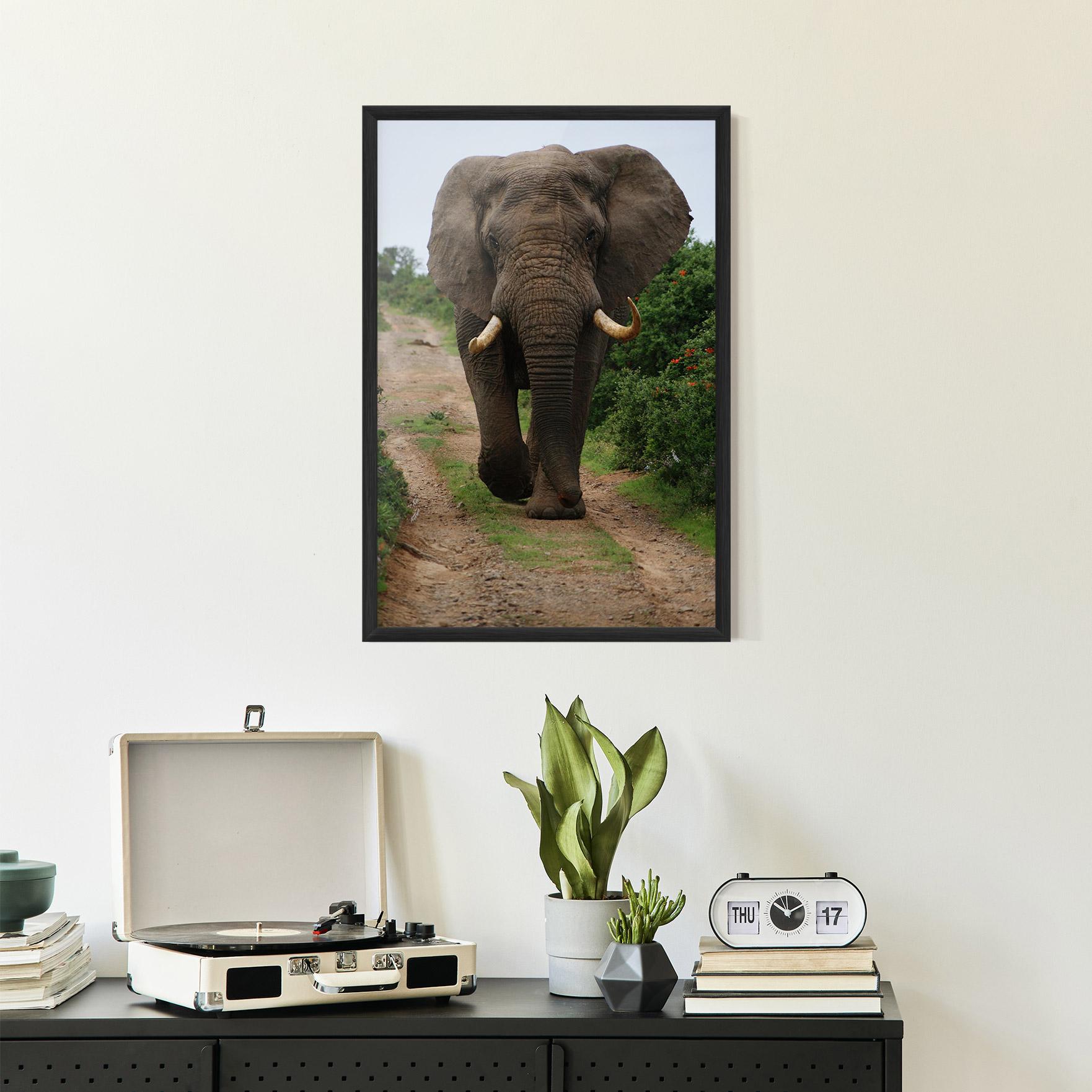 Gerahmte Poster Elephant Safari mockup 2