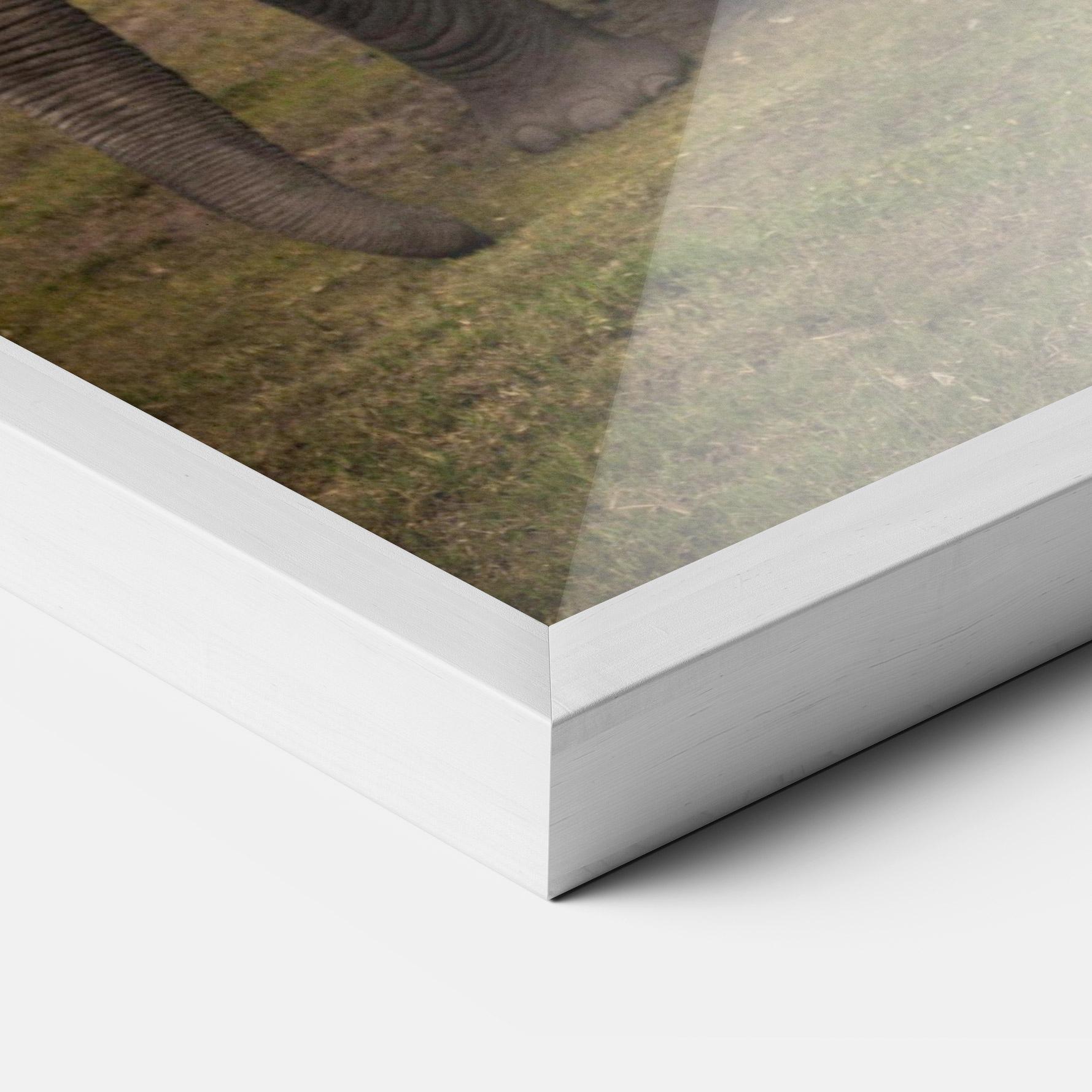 Gerahmte Poster Elephant Landscape mockup 3