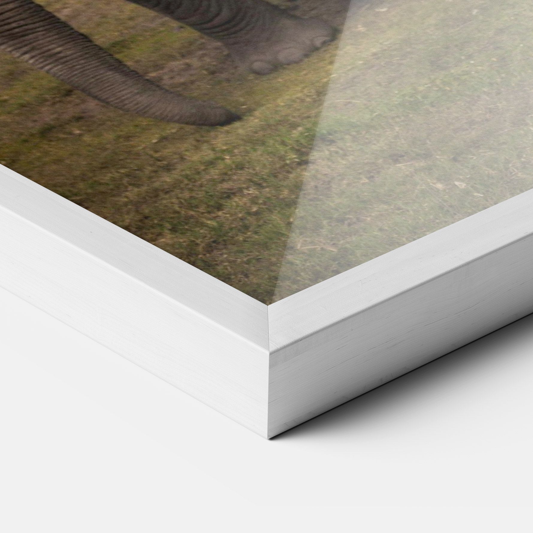 Elephant Landscape mockup 3