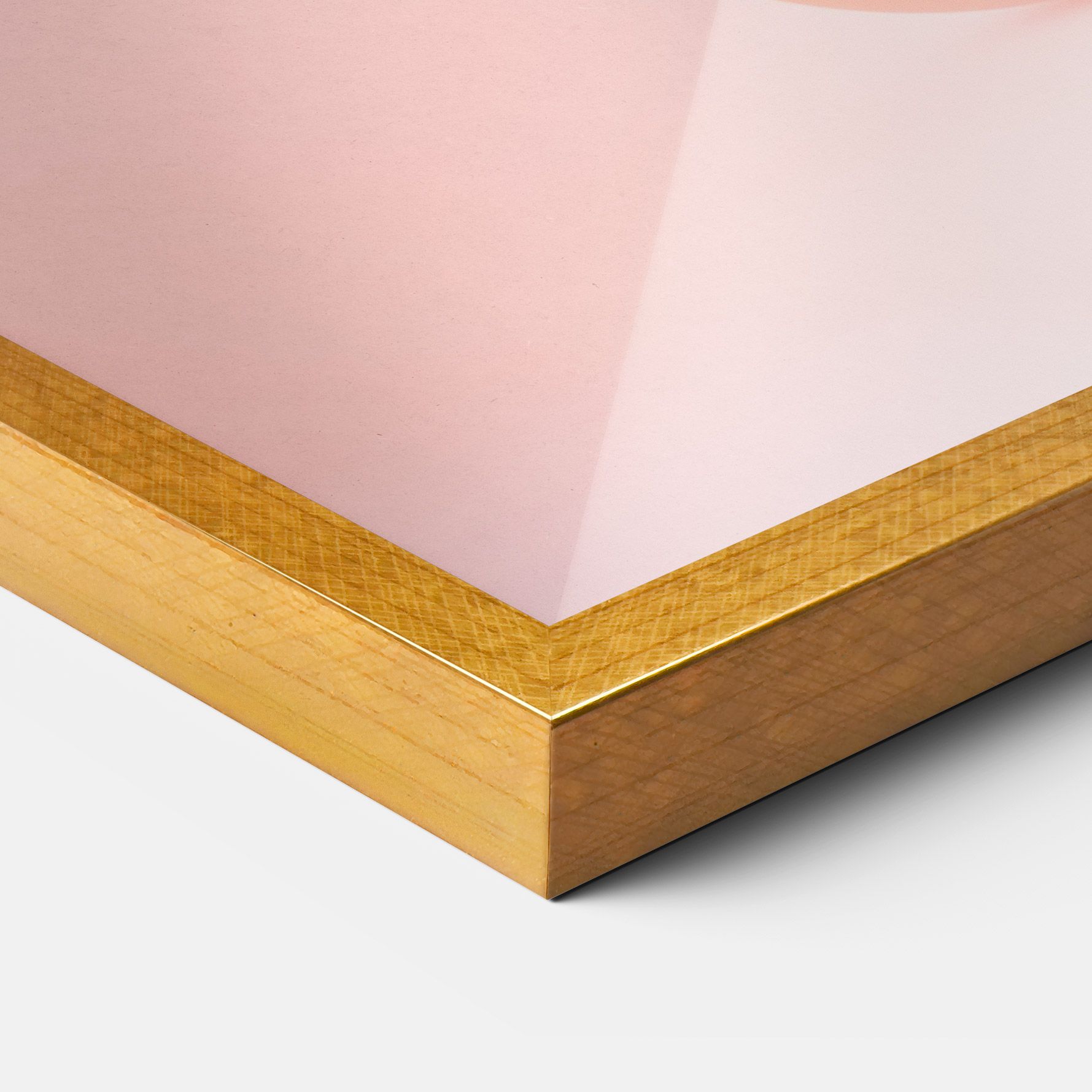 Ball Elephant mockup 3