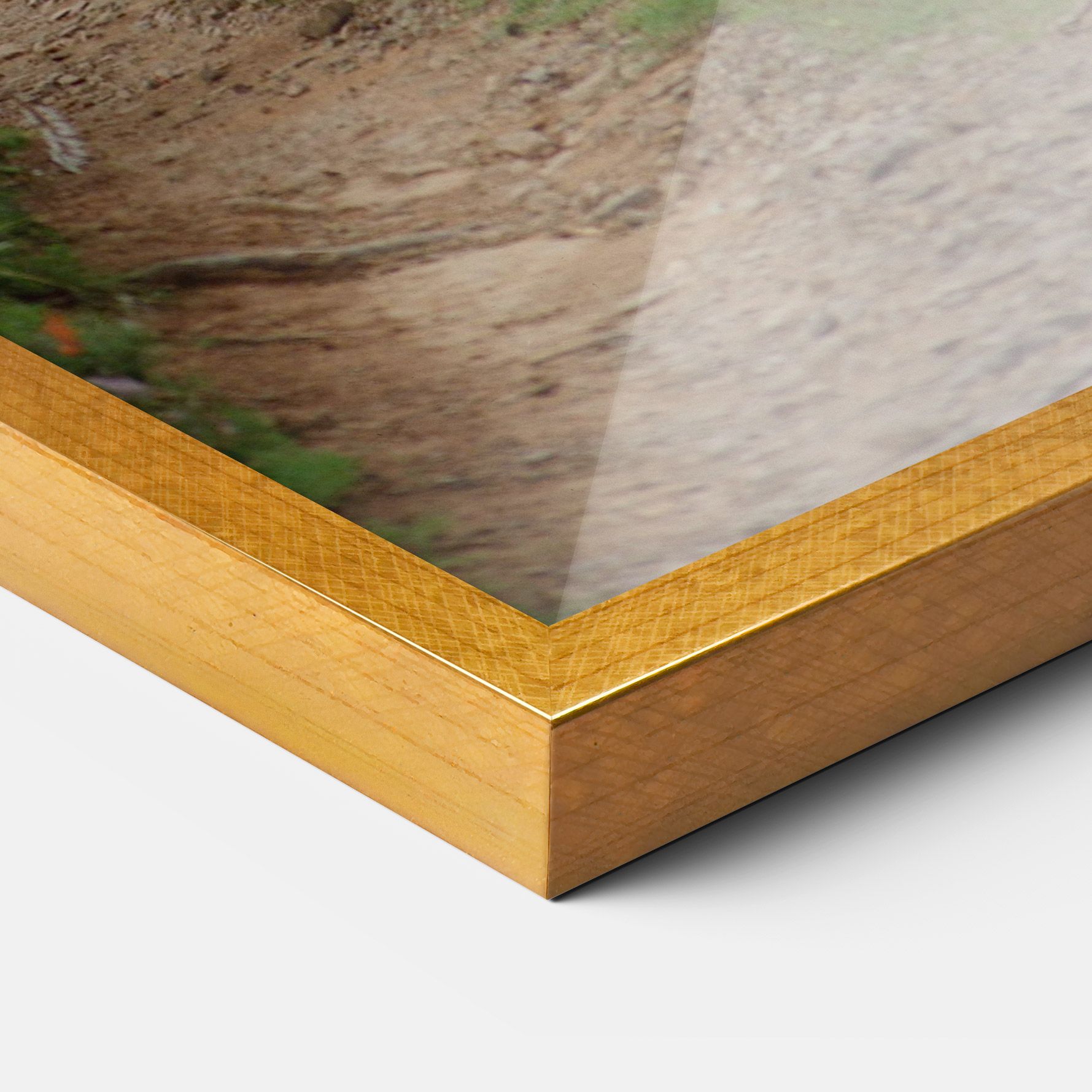 Elephant Safari mockup 3