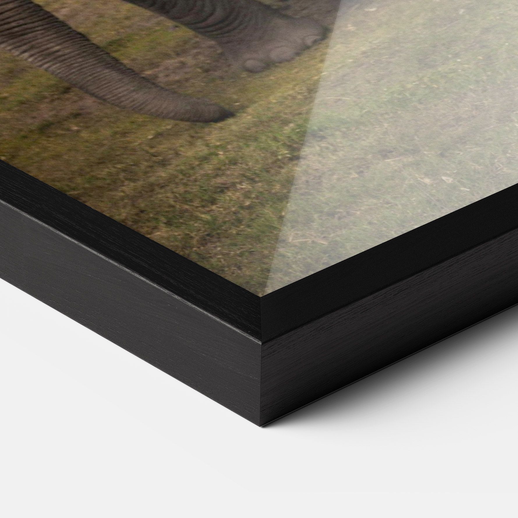 Elephant Landscape mockup 3