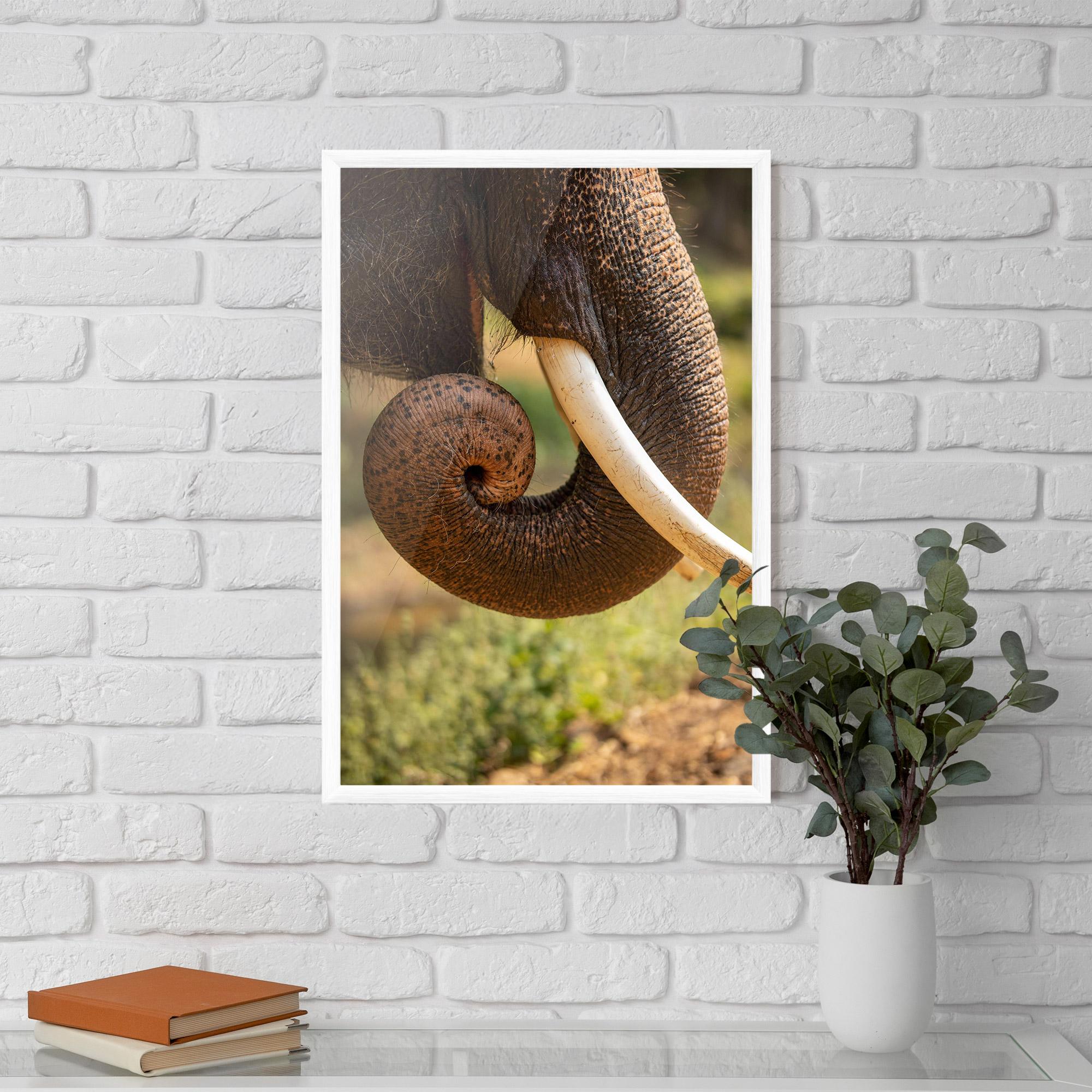 Gerahmte Poster Elephant Mouth Close Up mockup 5