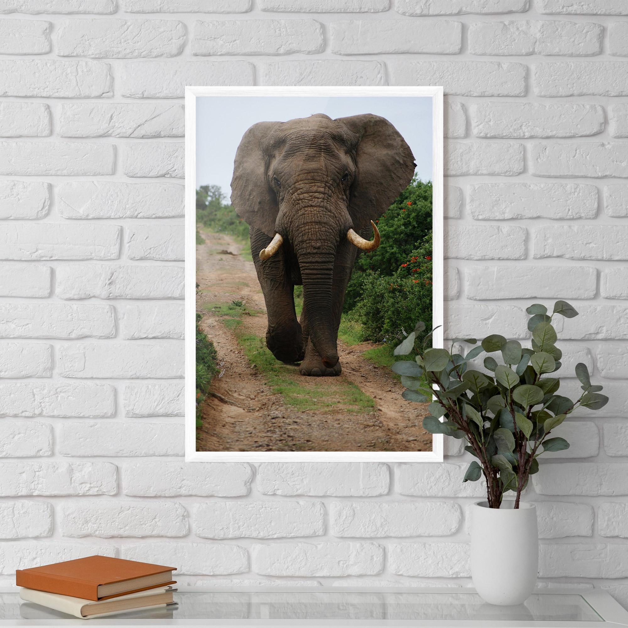 Gerahmte Poster Elephant Safari mockup 5