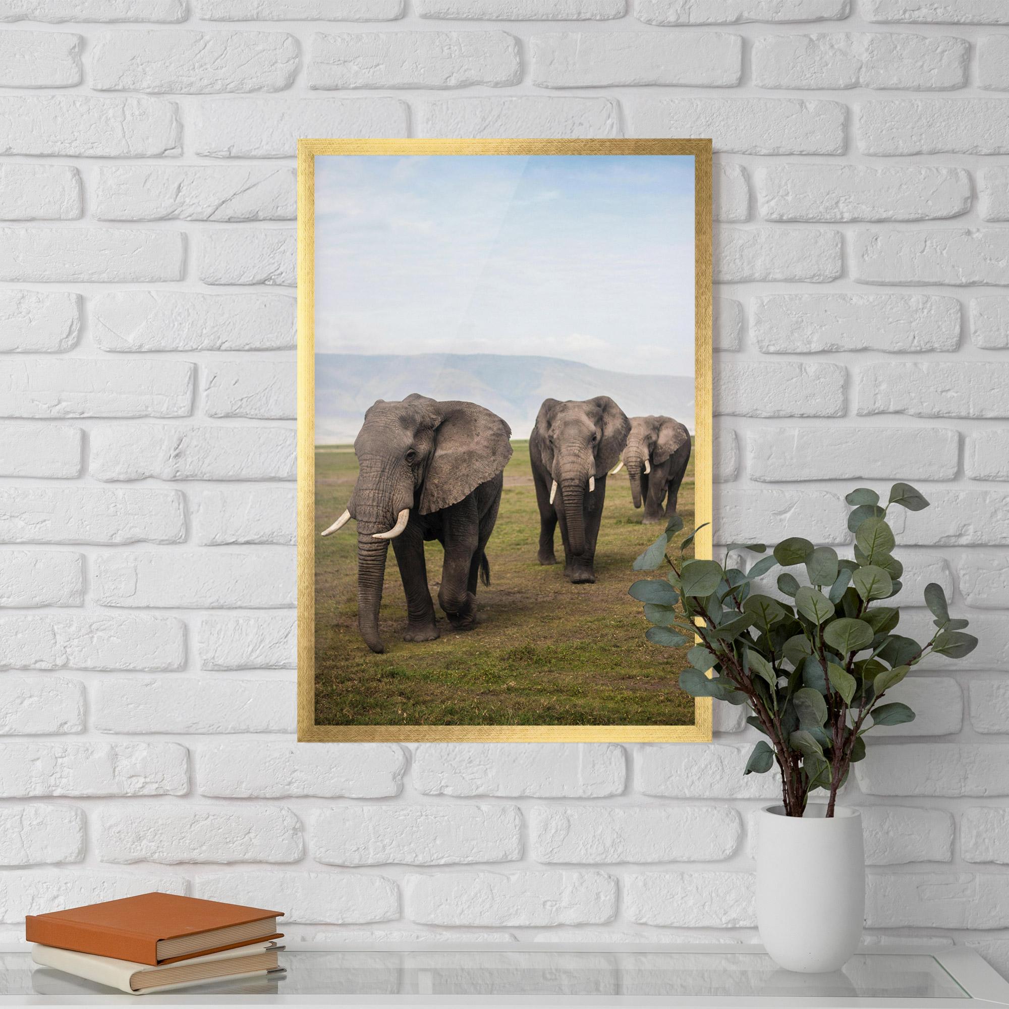 Gerahmte Poster Elephant Landscape mockup 5