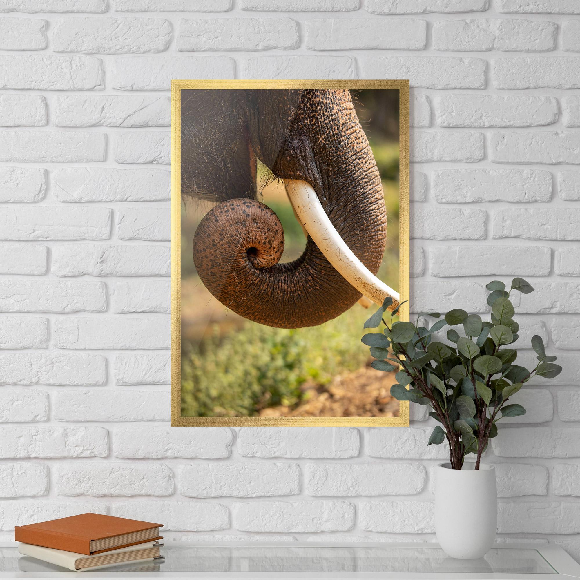 Gerahmte Poster Elephant Mouth Close Up mockup 5