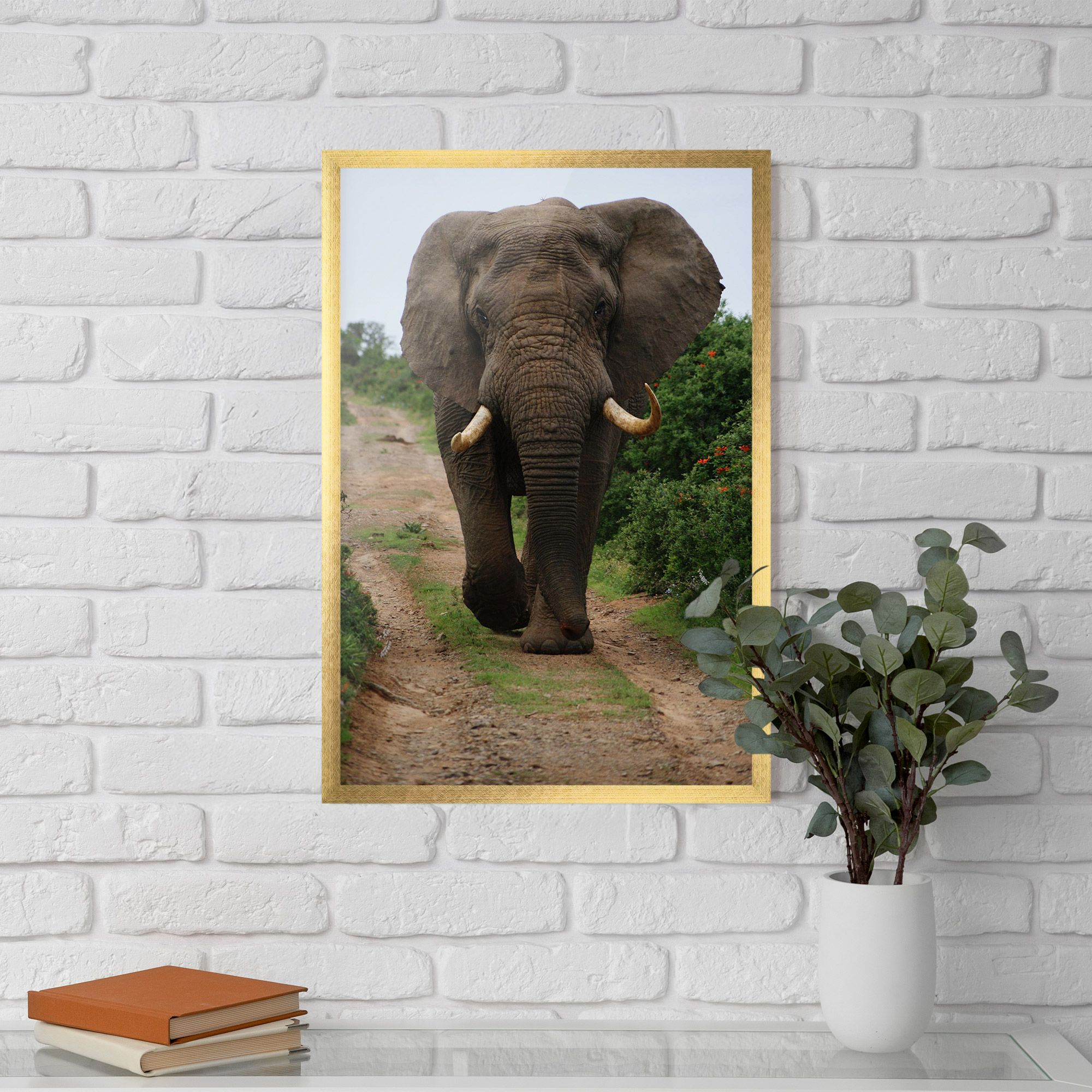Elephant Safari mockup 5