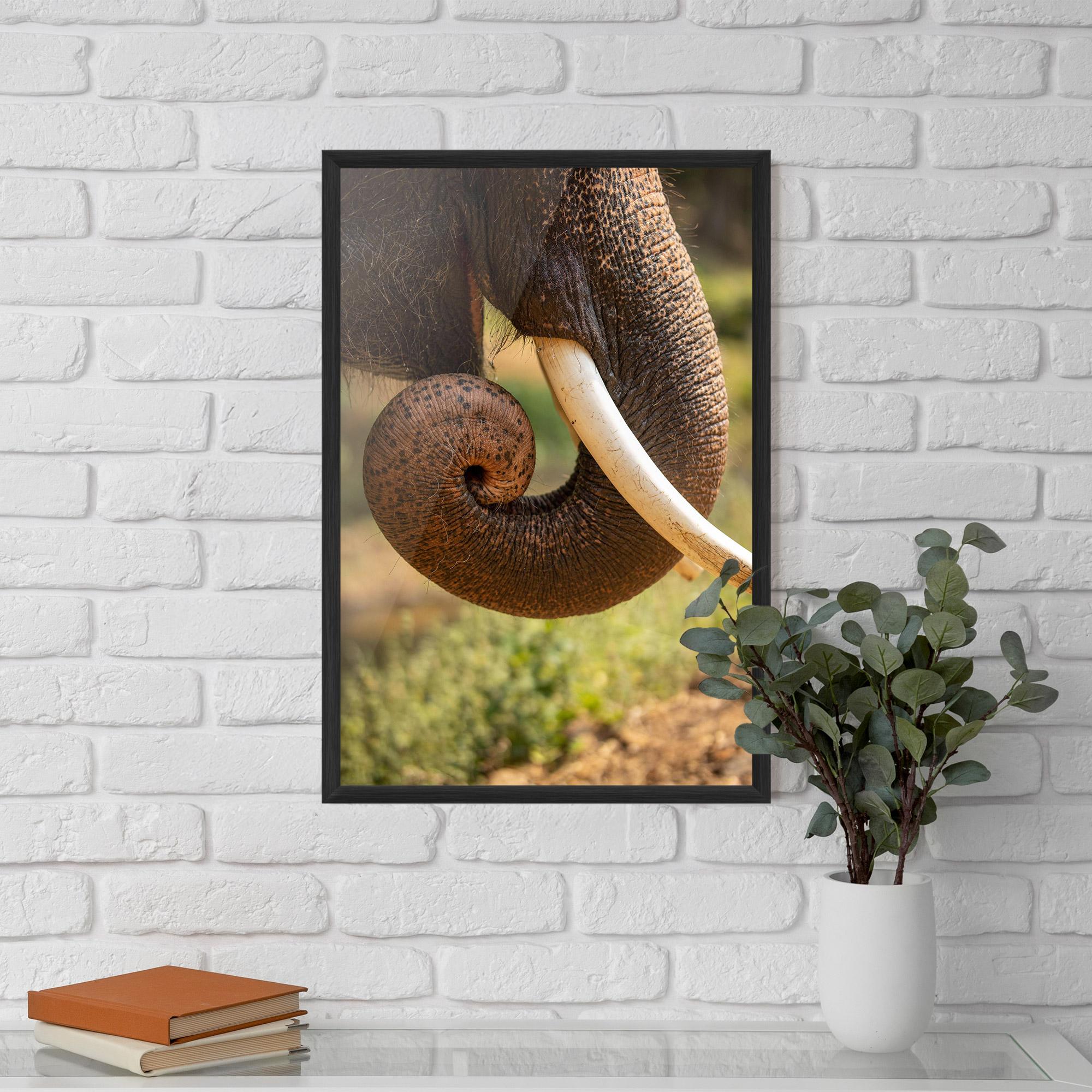 Gerahmte Poster Elephant Mouth Close Up mockup 5