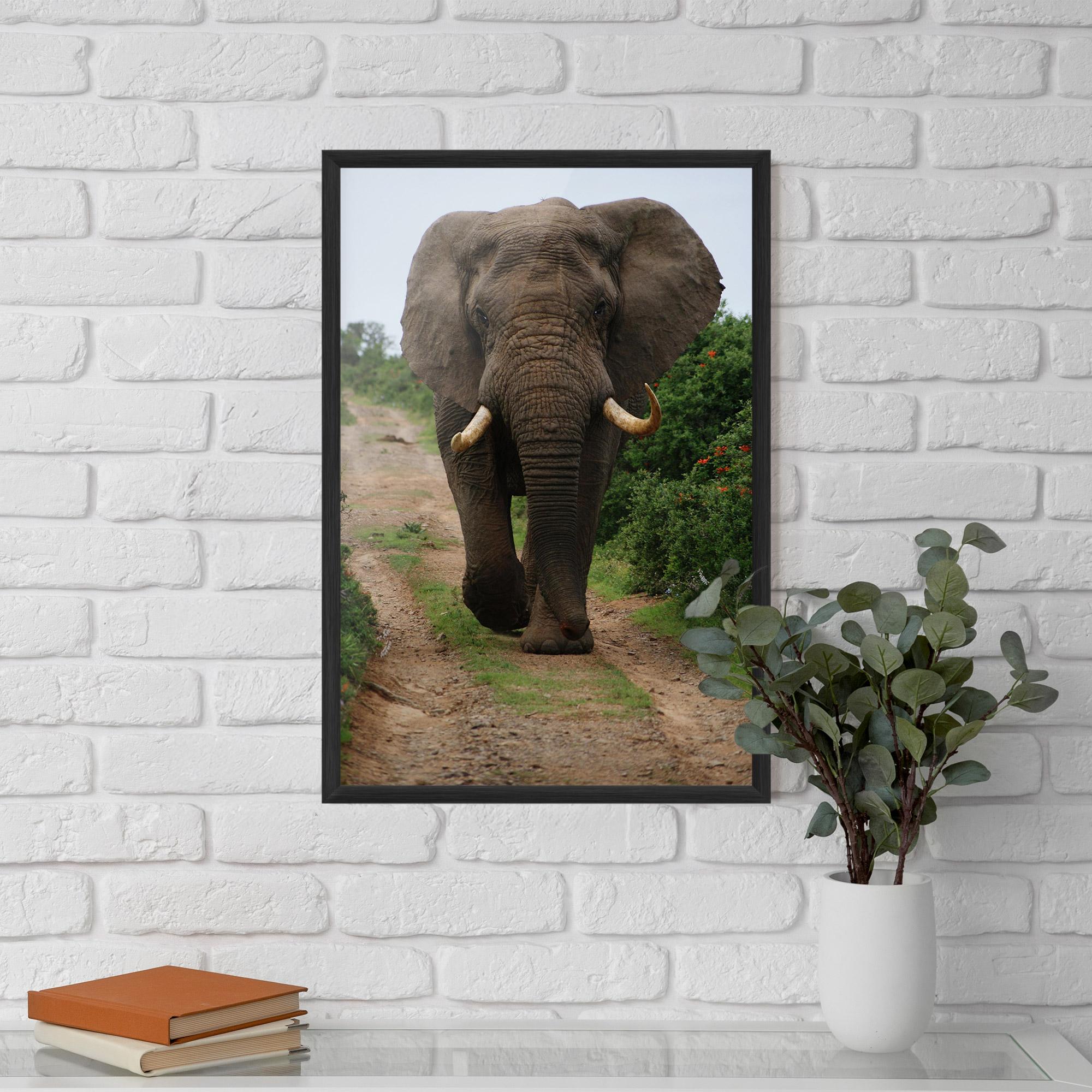 Gerahmte Poster Elephant Safari mockup 5