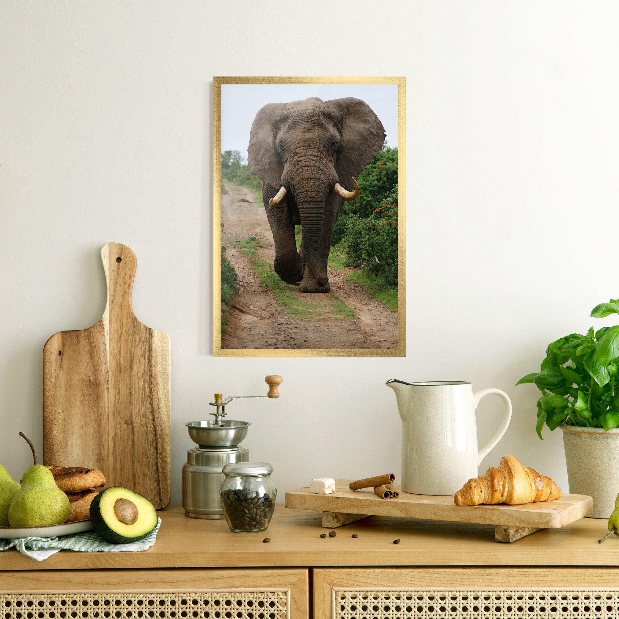 Gerahmte Poster Elephant Safari mockup 8