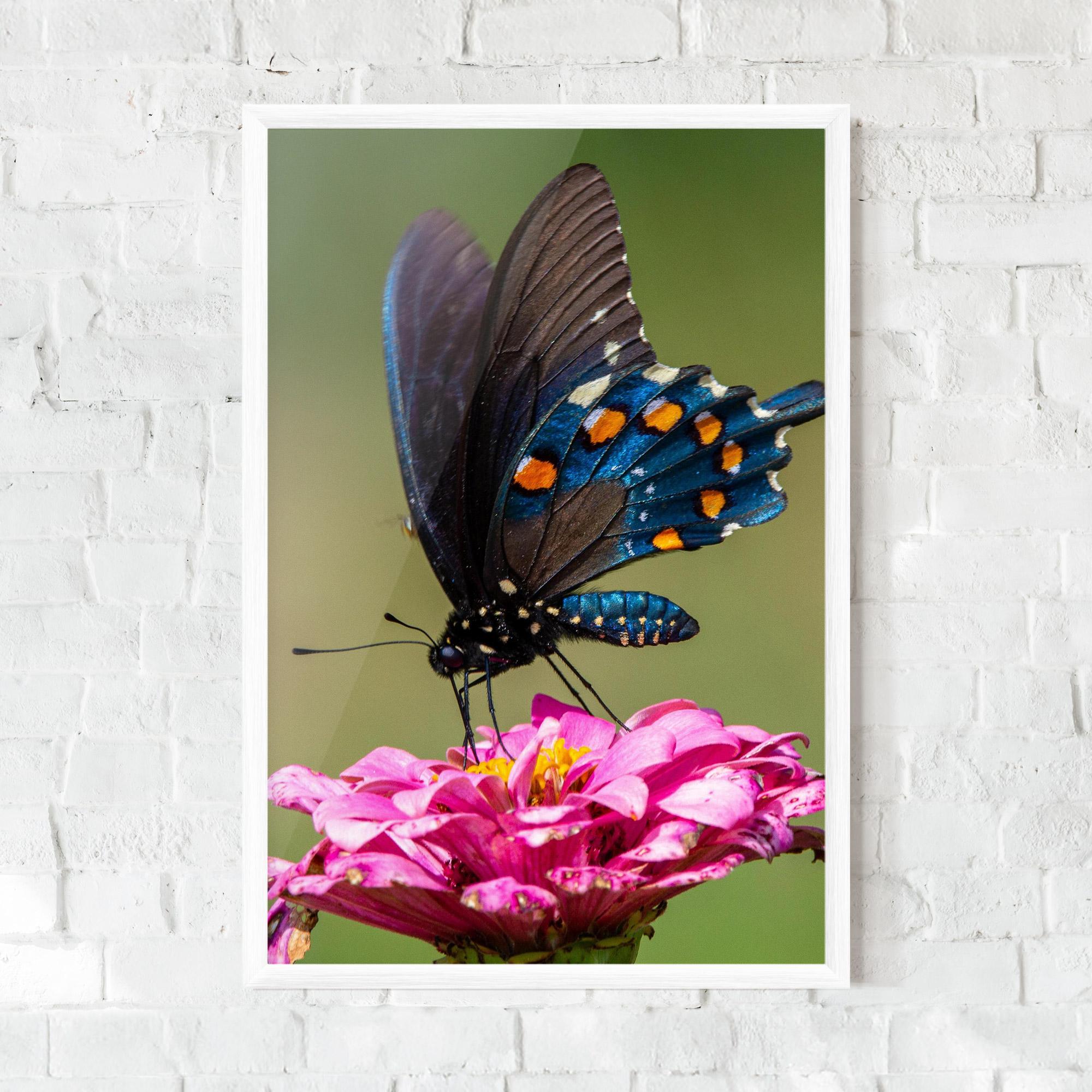 Gerahmte Poster Blue Grey Butterfly mockup 0