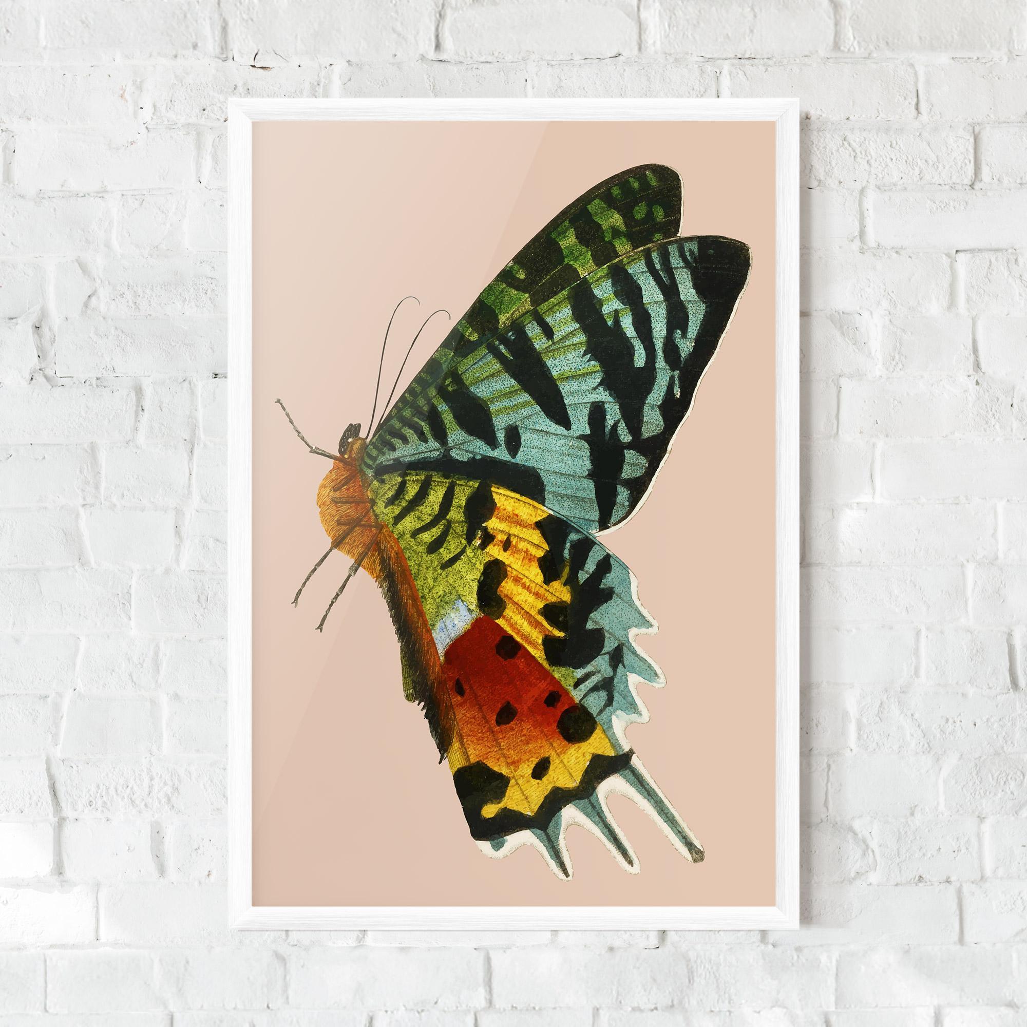 Gerahmte Poster Butterfly On Pink mockup 0