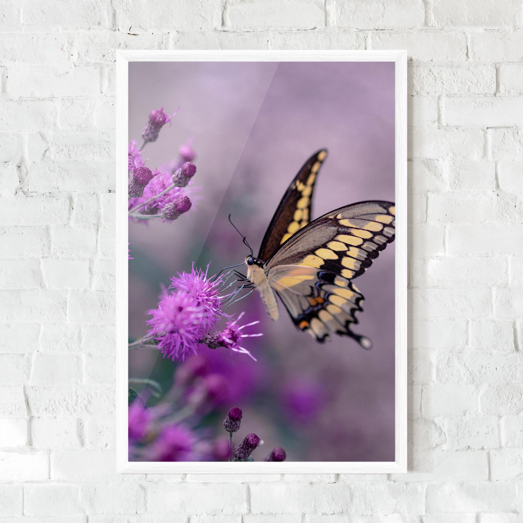 Gerahmte Poster Cream Black Butterfly mockup 0