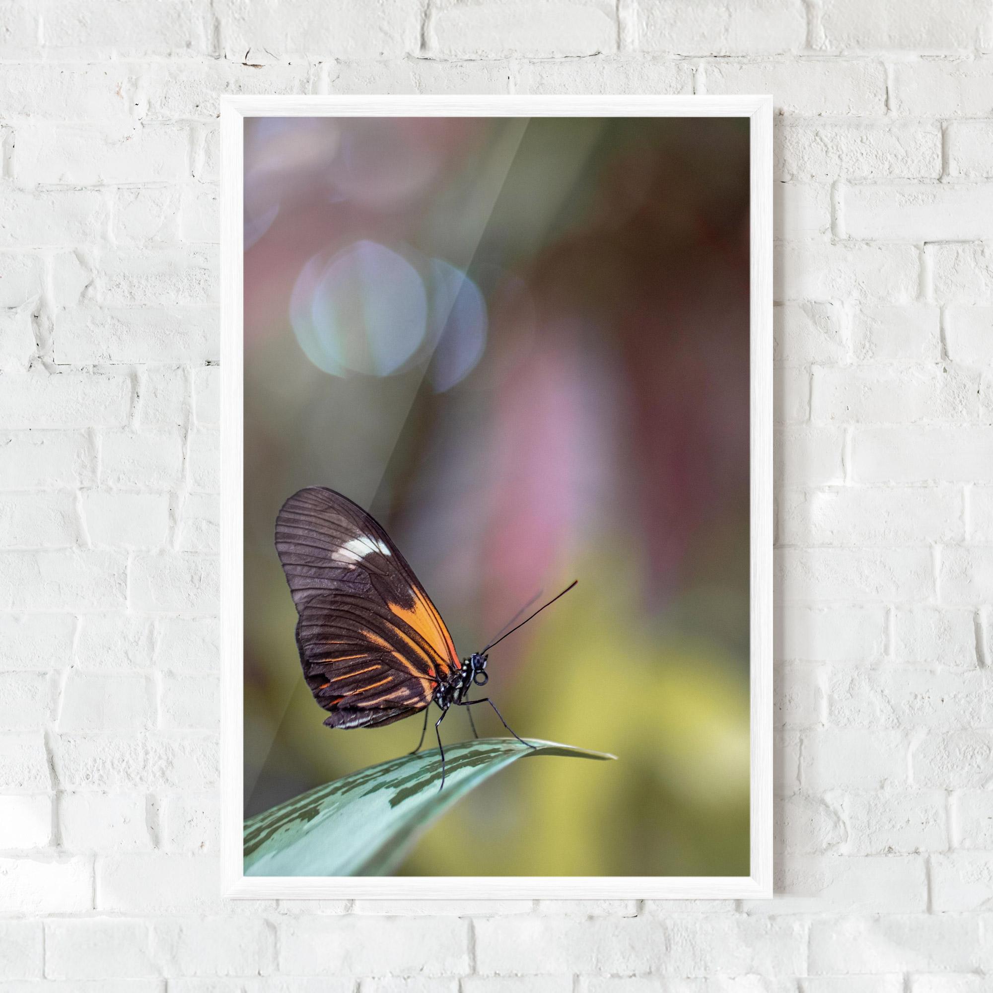 Gerahmte Poster Dark Purple Butterfly mockup 0