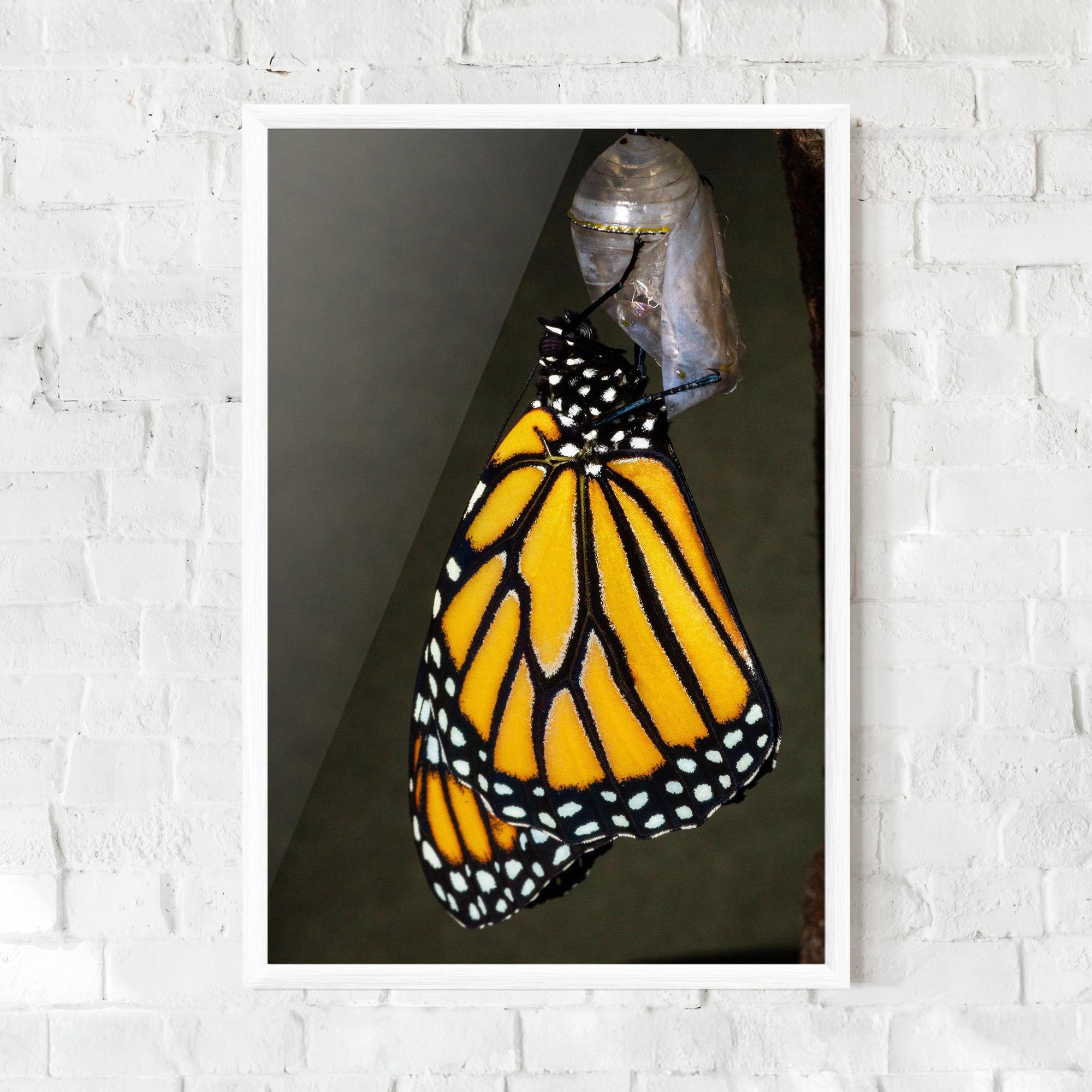 Gerahmte Poster Dark Yellow Butterfly mockup 0