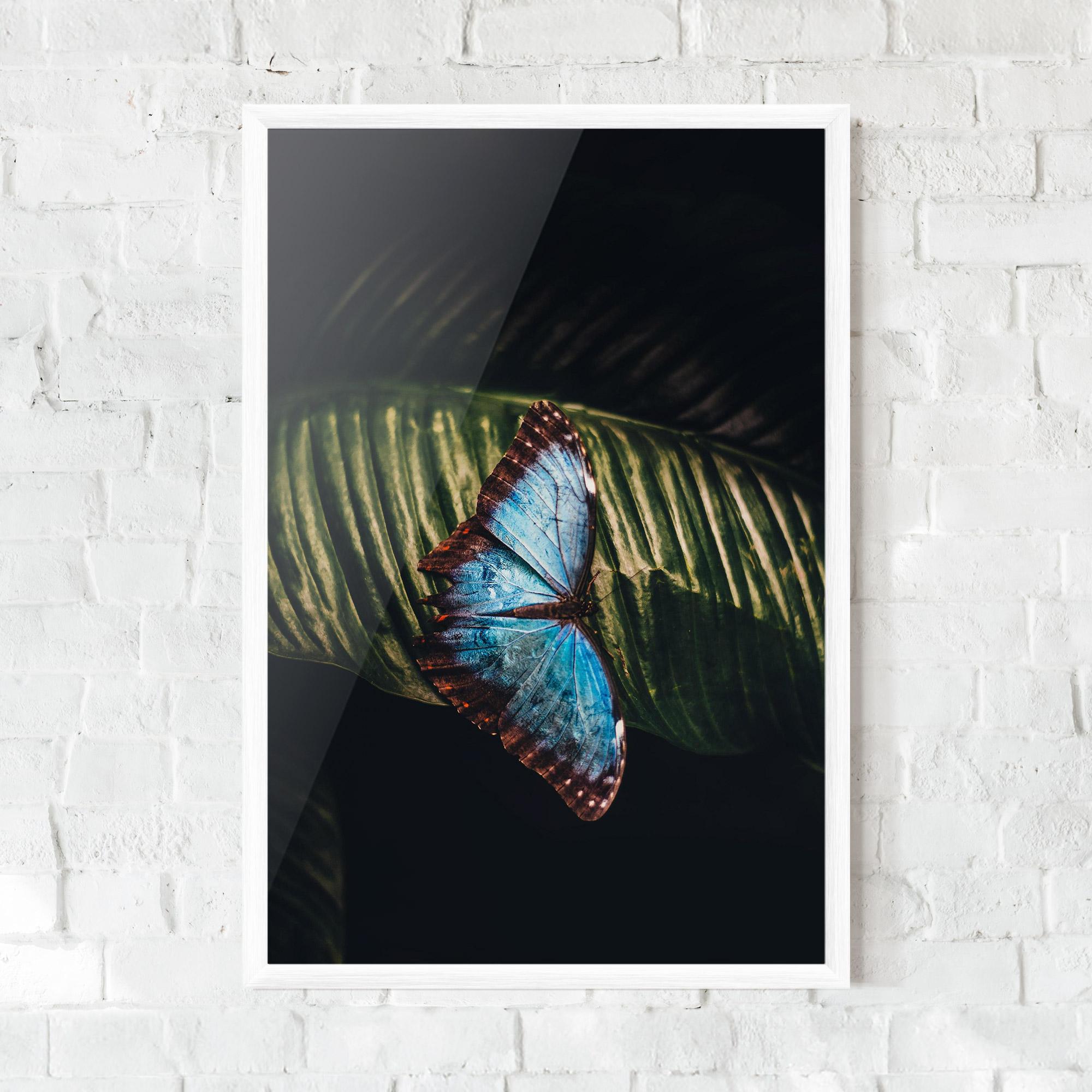 Gerahmte Poster Light Blue Butterfly mockup 0