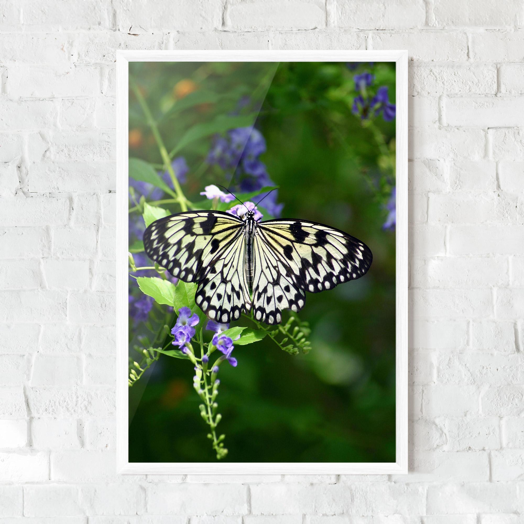 Gerahmte Poster Pretty White Butterfly mockup 0
