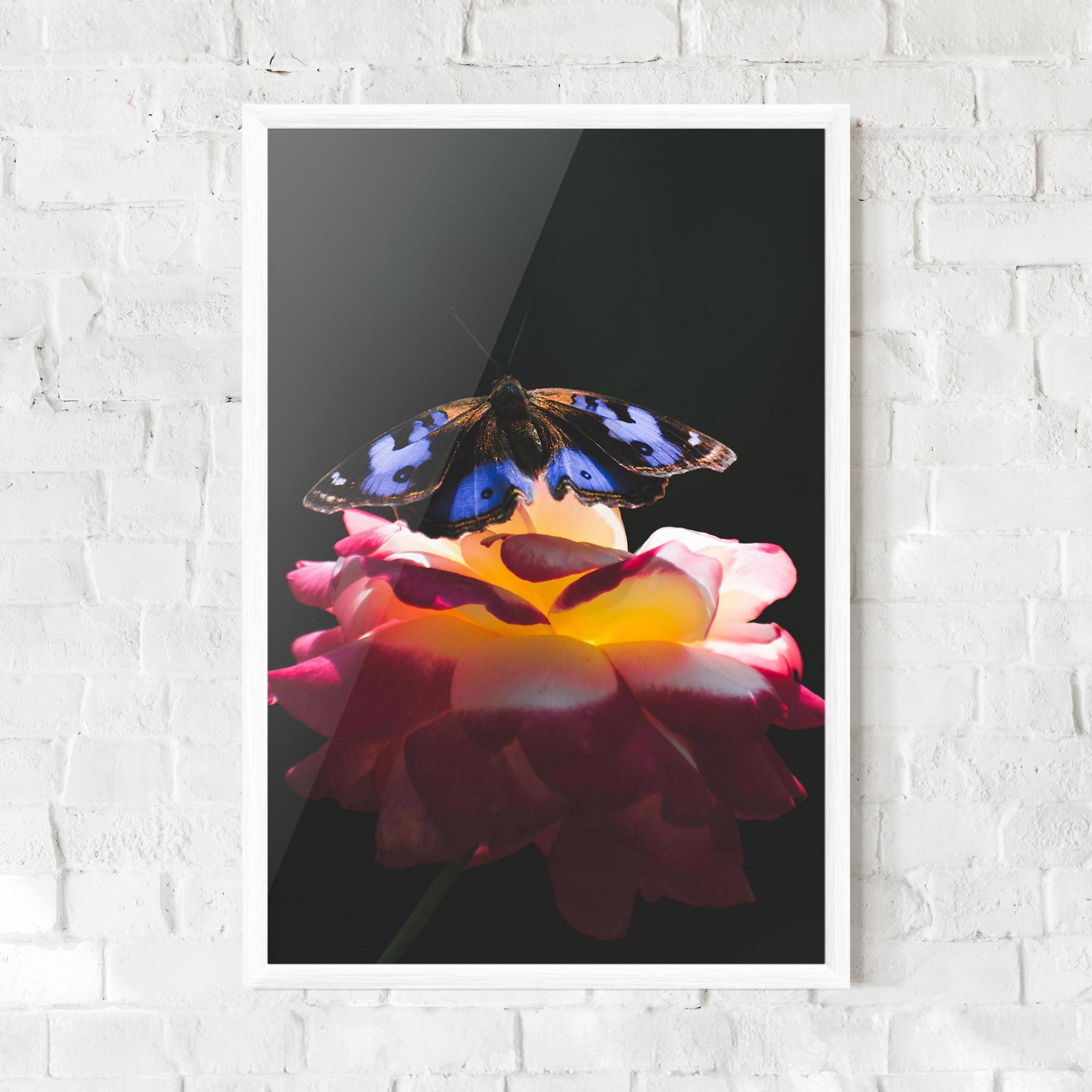 Gerahmte Poster Rose Butterfly mockup 0