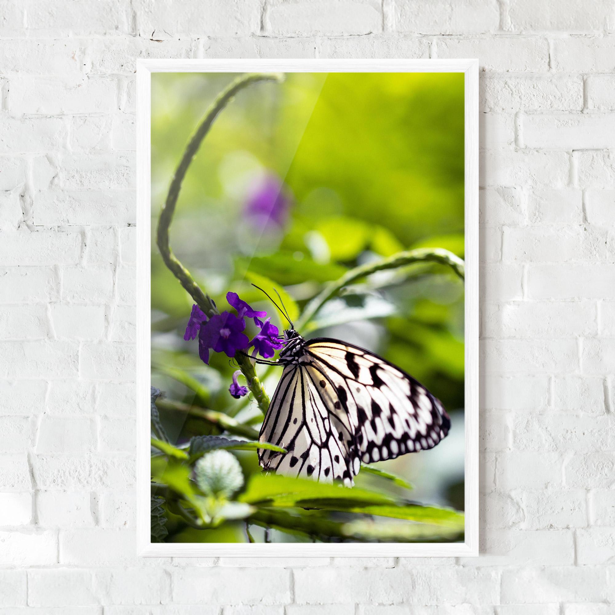 Gerahmte Poster White Black Butterfly mockup 0