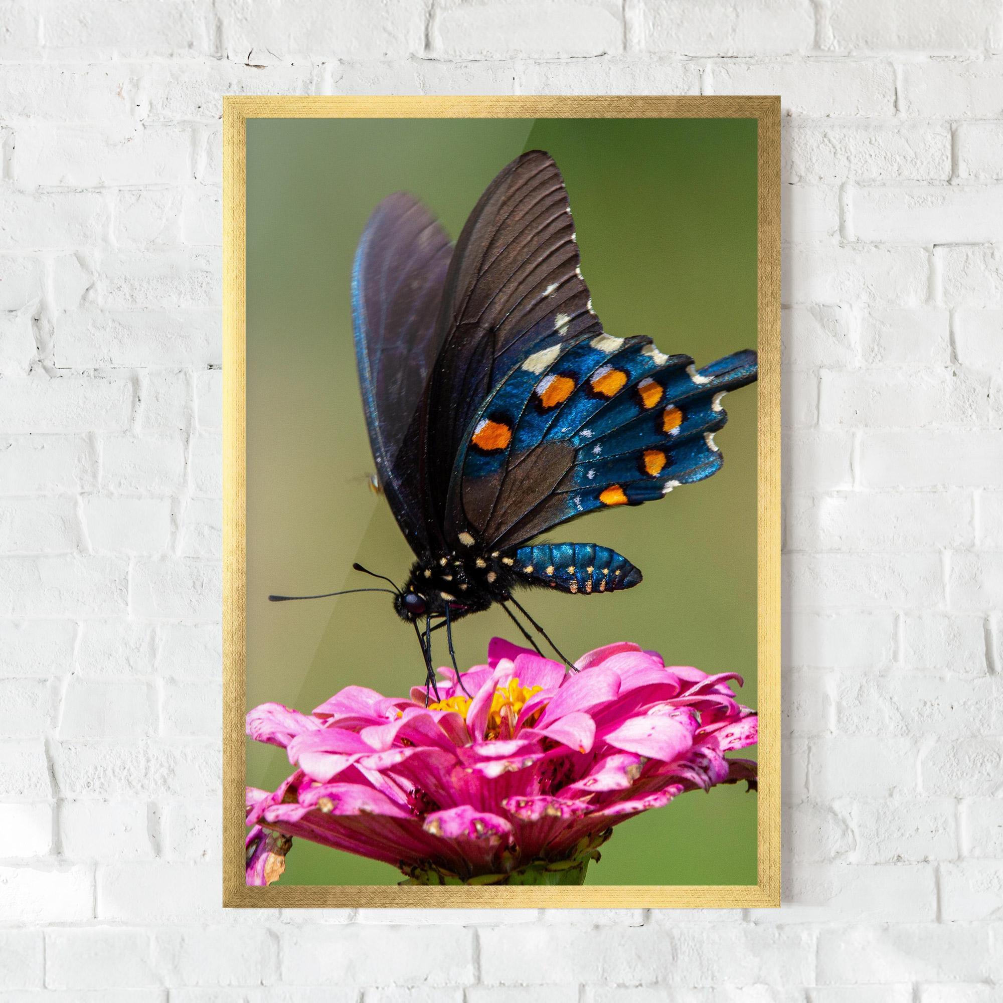 Gerahmte Poster Blue Grey Butterfly mockup 0