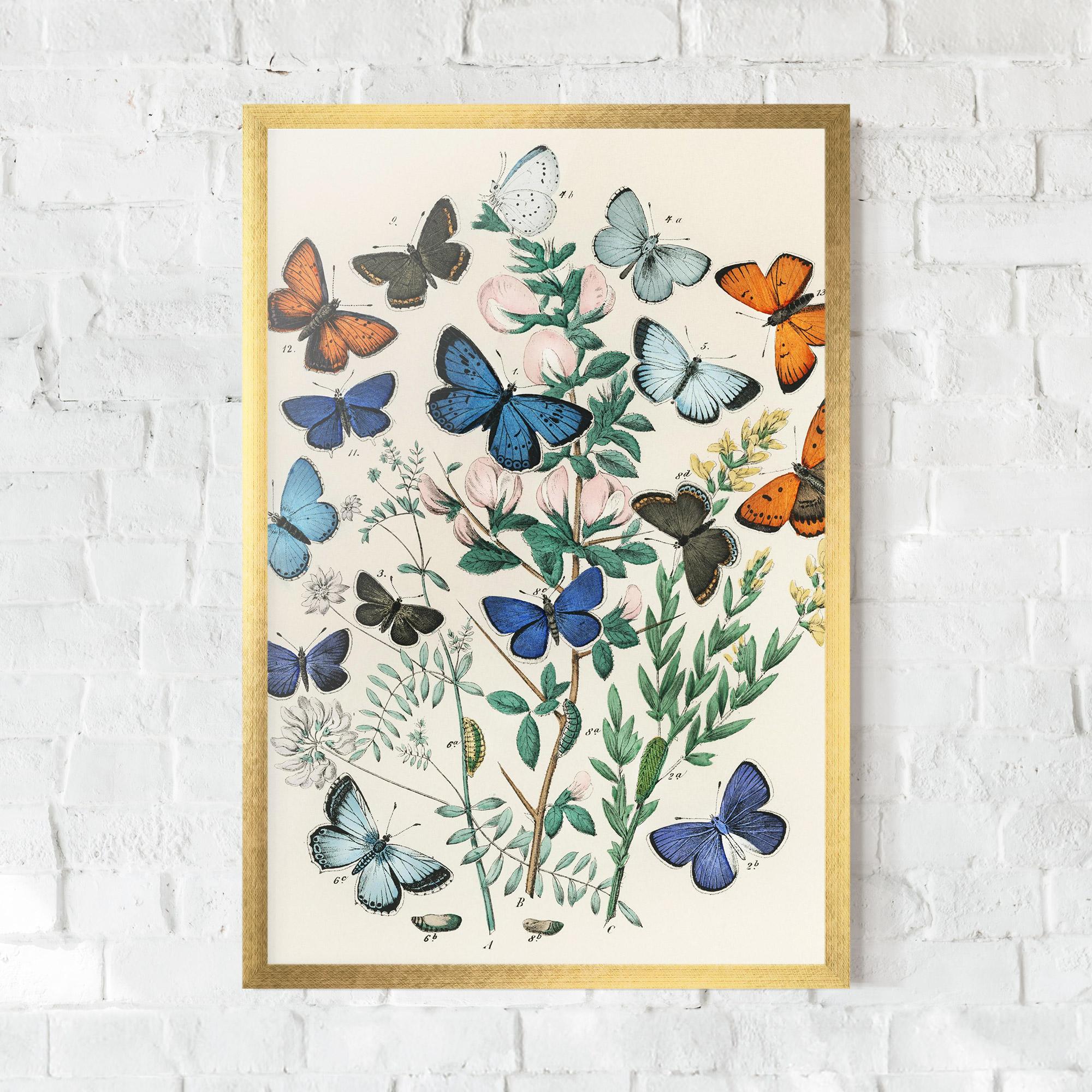 Gerahmte Poster Blue Orange Butterflies mockup 0