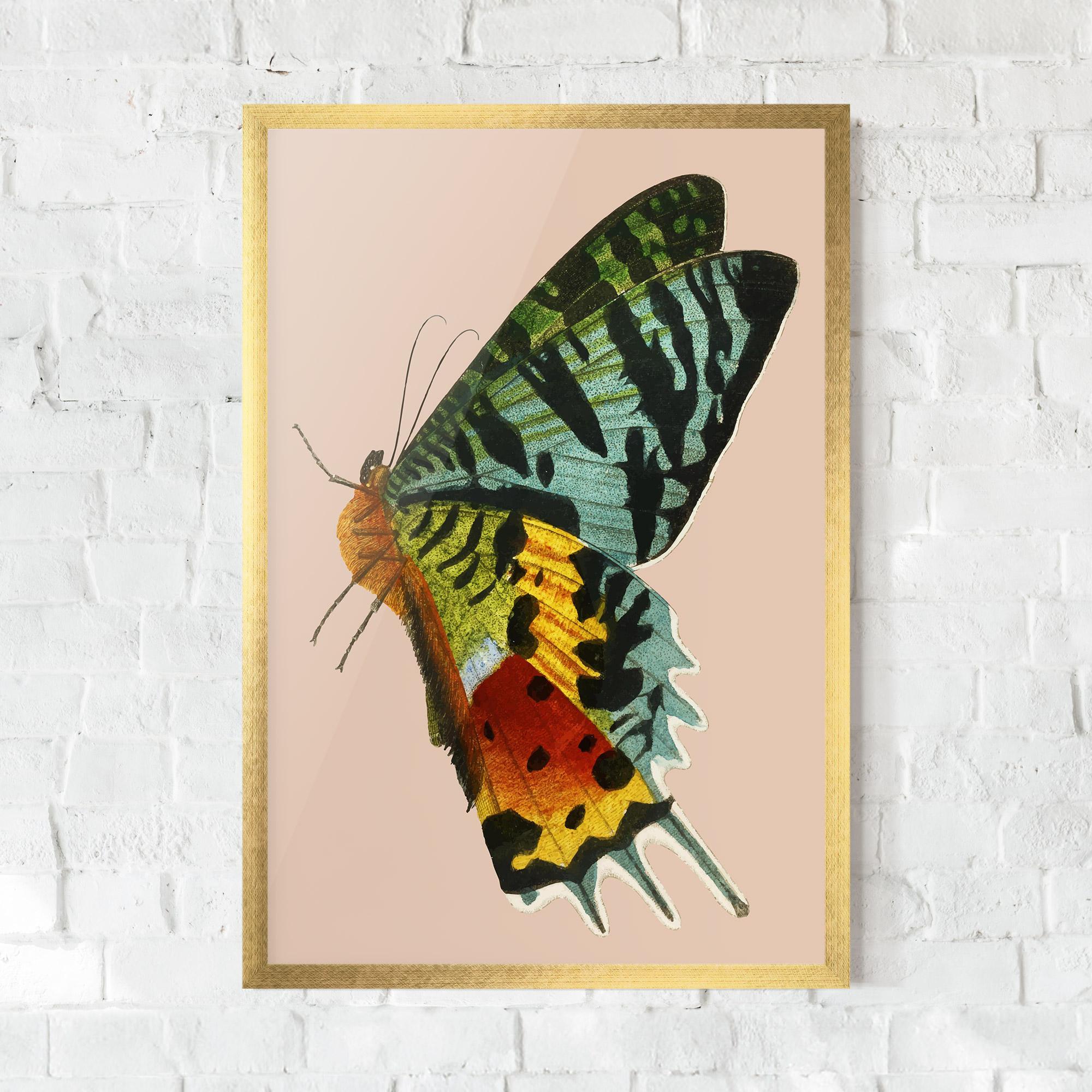 Gerahmte Poster Butterfly On Pink mockup 0