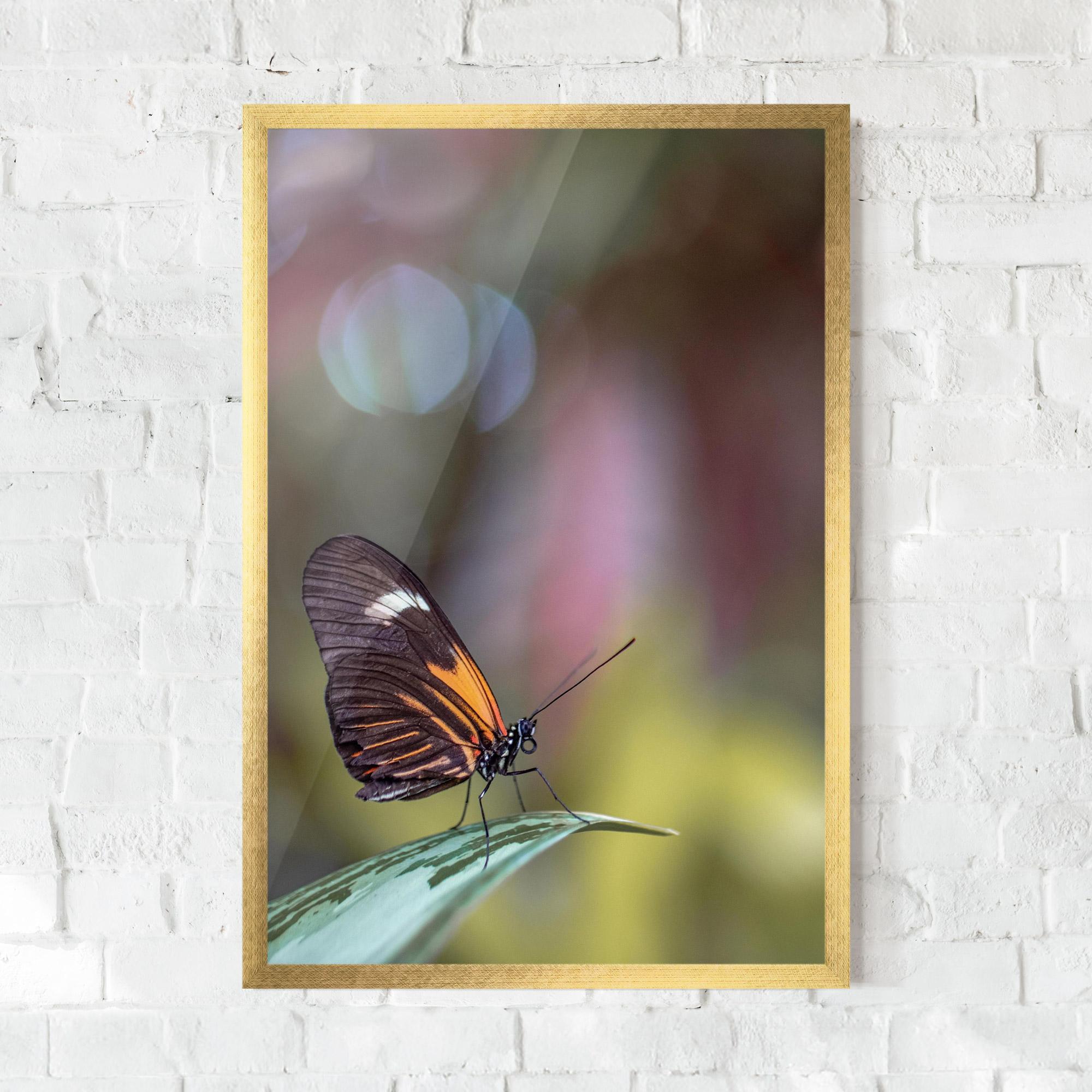 Gerahmte Poster Dark Purple Butterfly mockup 0