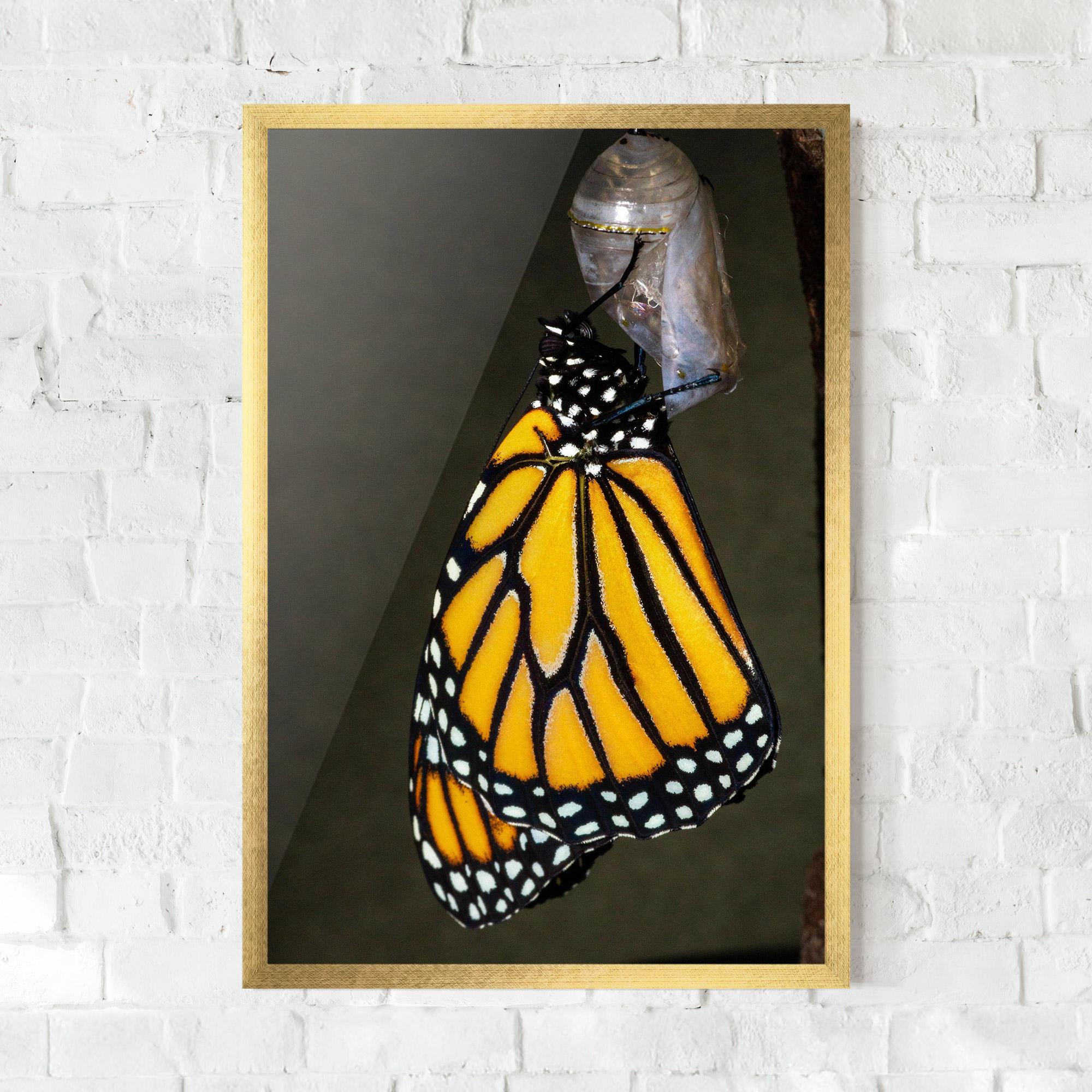 Gerahmte Poster Dark Yellow Butterfly mockup 0