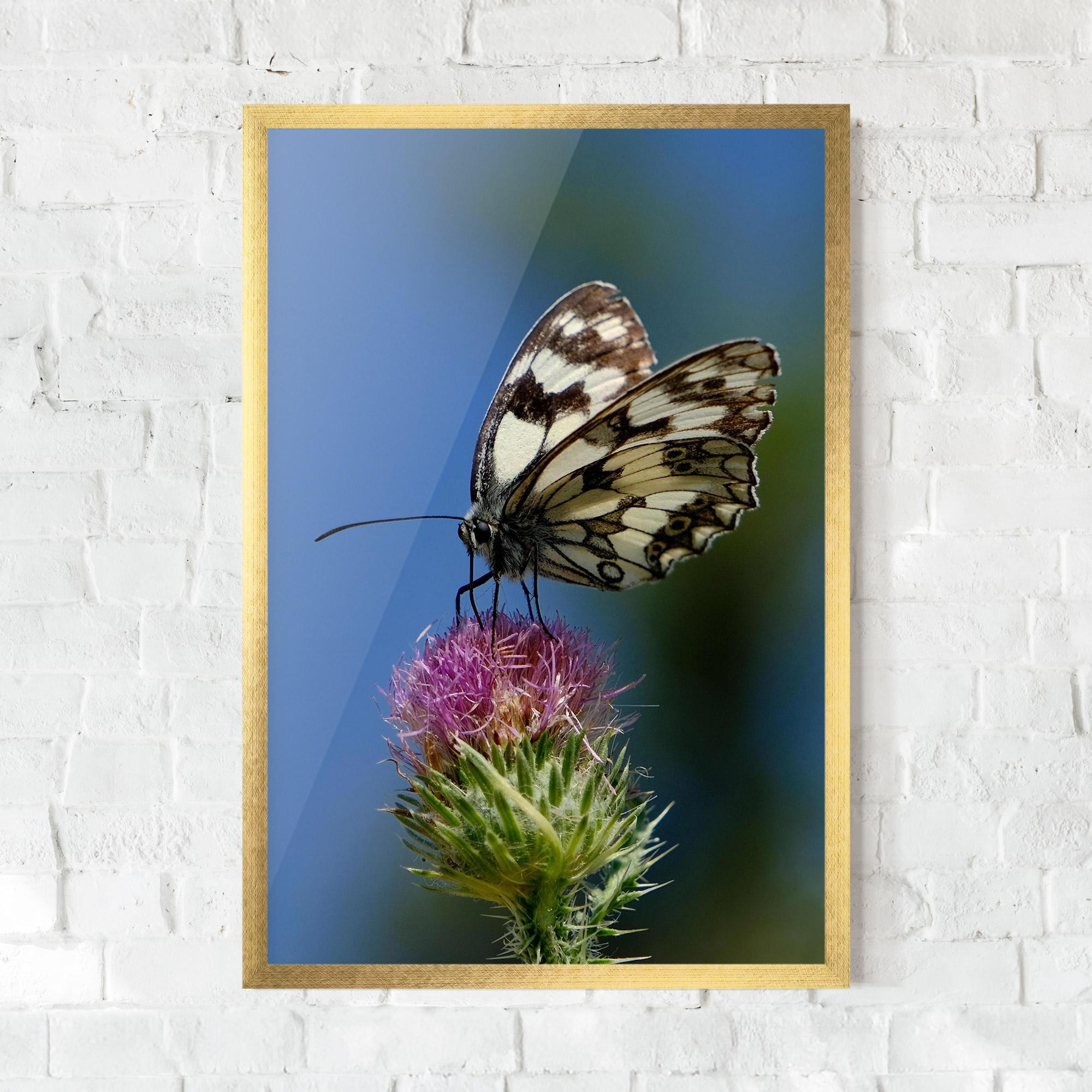 Gerahmte Poster Grey White Butterfly mockup 0