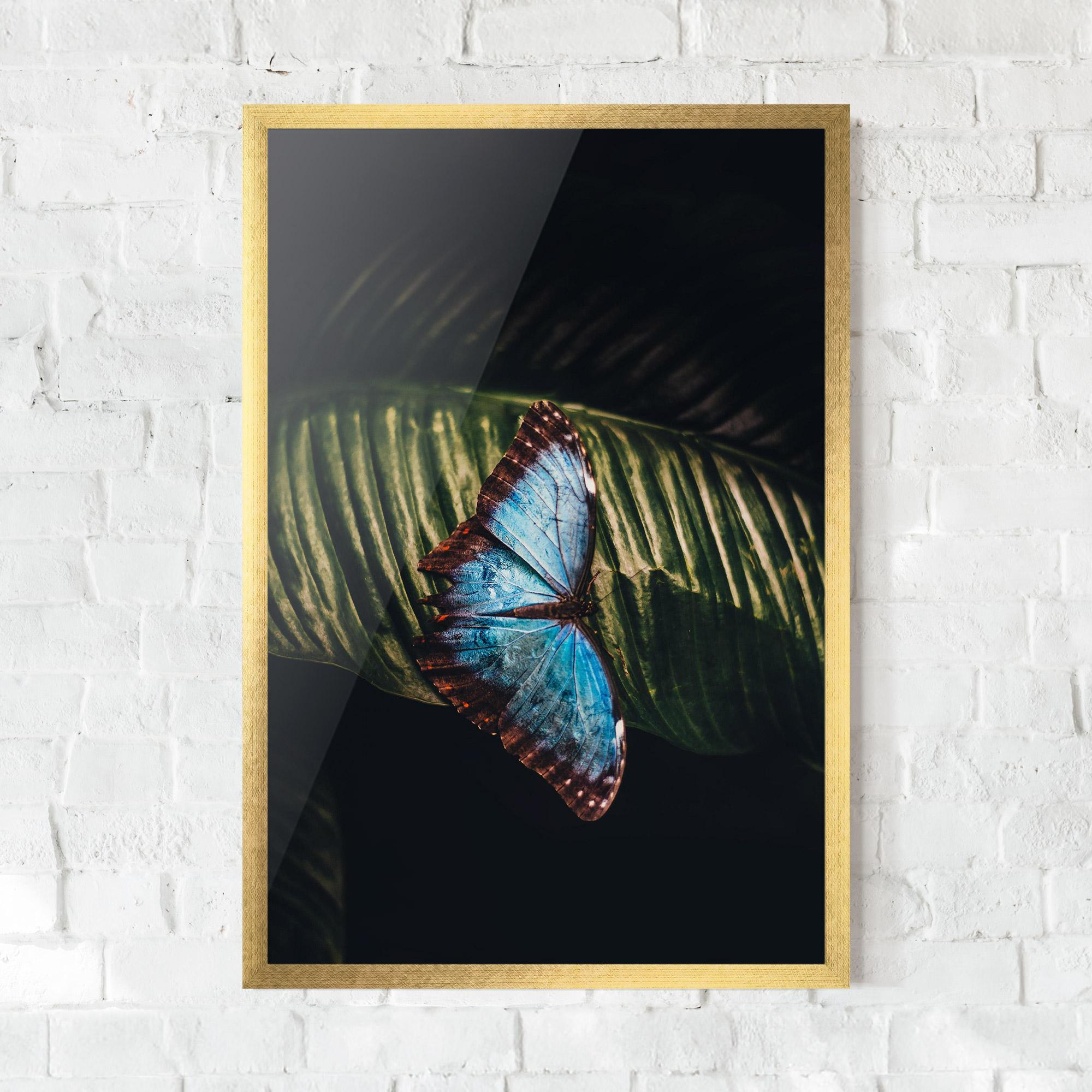 Gerahmte Poster Light Blue Butterfly mockup 0