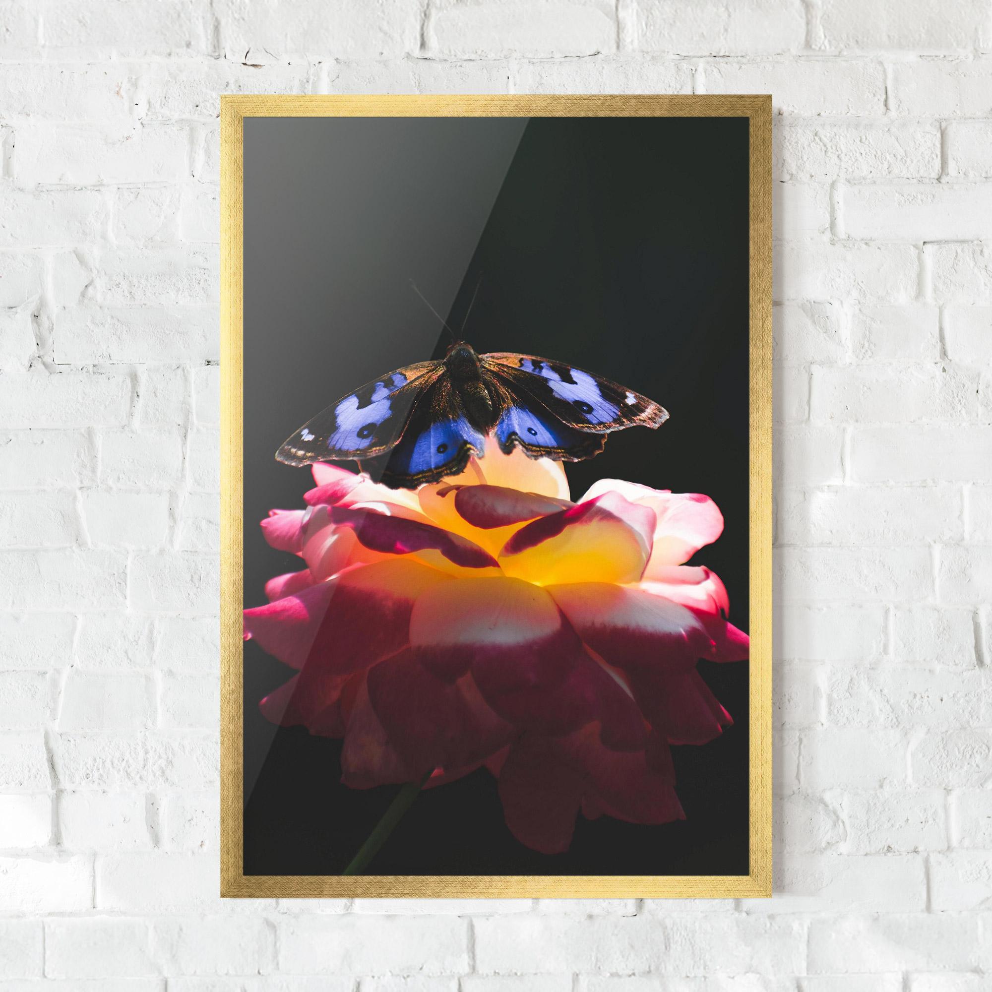 Gerahmte Poster Rose Butterfly mockup 0