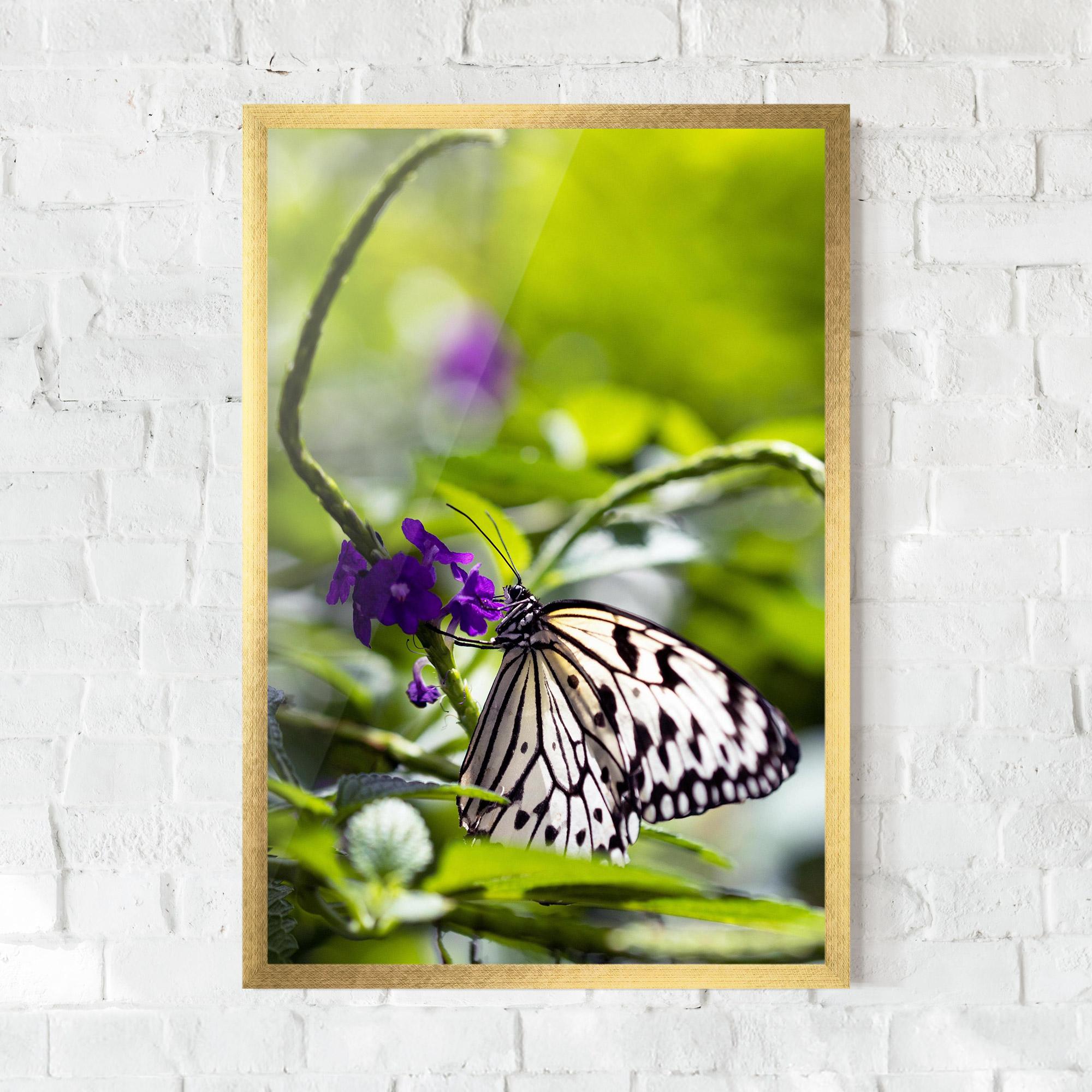 Gerahmte Poster White Black Butterfly mockup 0