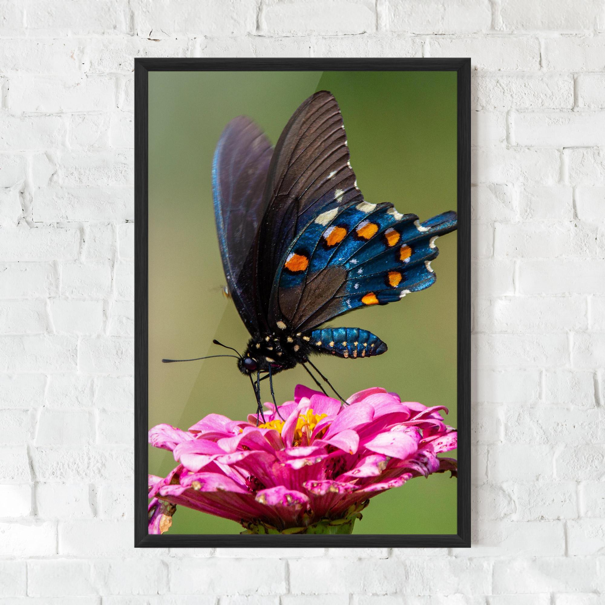 Gerahmte Poster Blue Grey Butterfly mockup 0