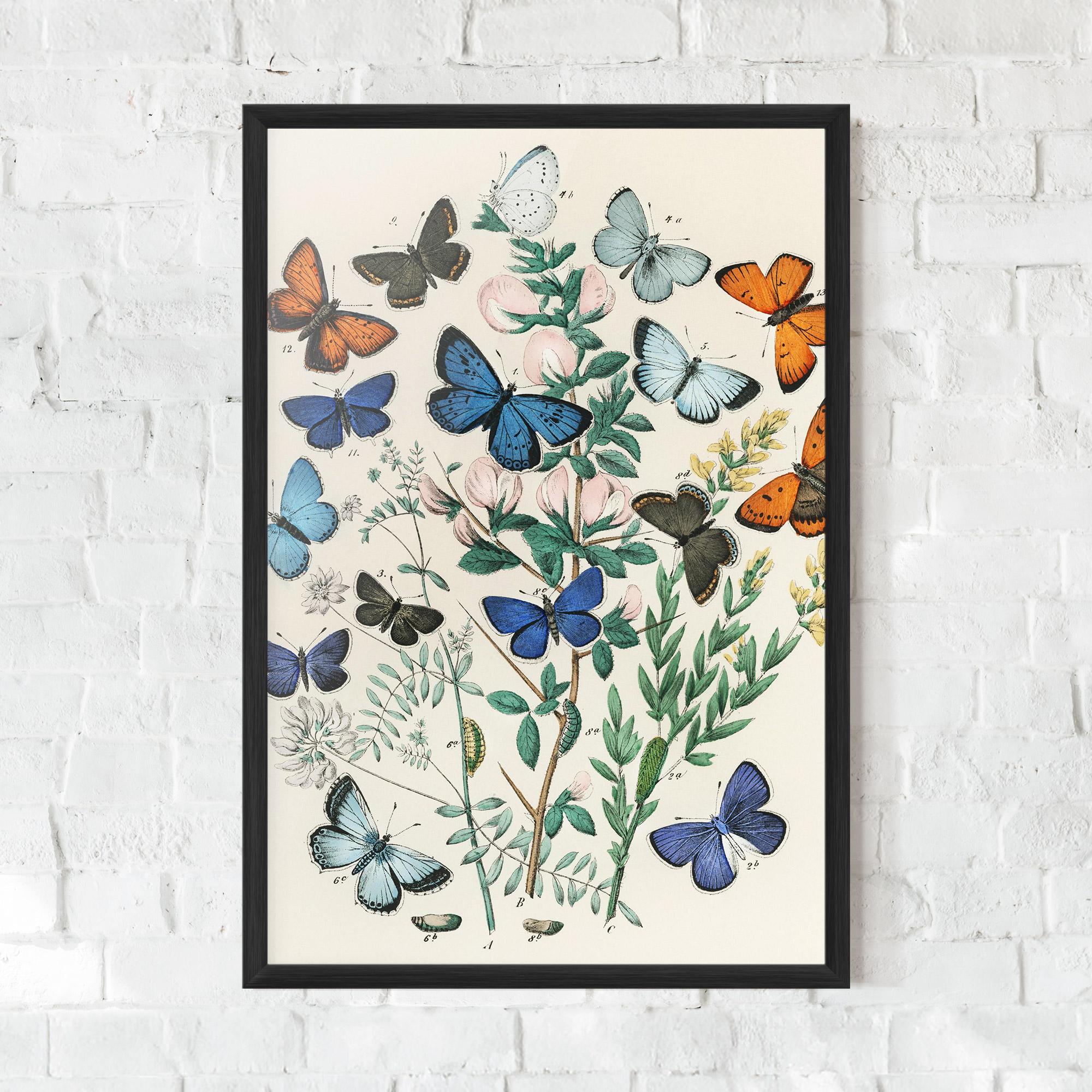 Gerahmte Poster Blue Orange Butterflies mockup 0